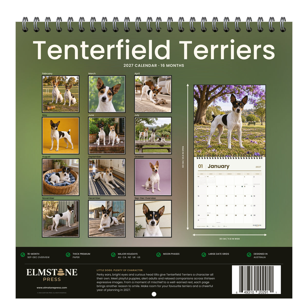 Tenterfield_Terriers_-_649310202911_-_05-back-cover-white.jpg