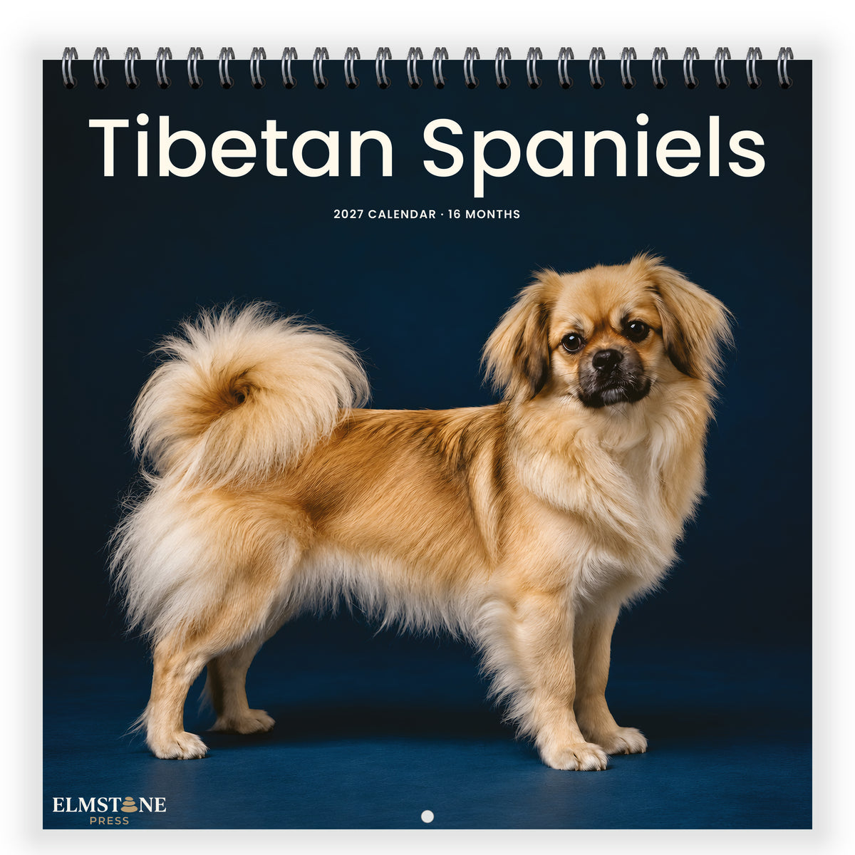 Tibetan_Spaniels_-_649310202928_-_01-front-cover-white.jpg