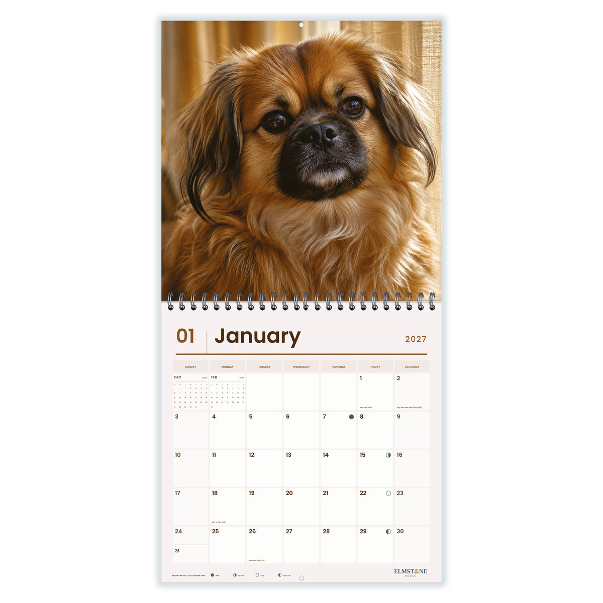 Tibetan_Spaniels_-_649310202928_-_02-january-open-white.jpg