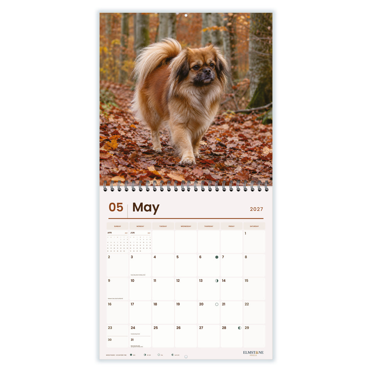 Tibetan_Spaniels_-_649310202928_-_03-may-open-white.jpg