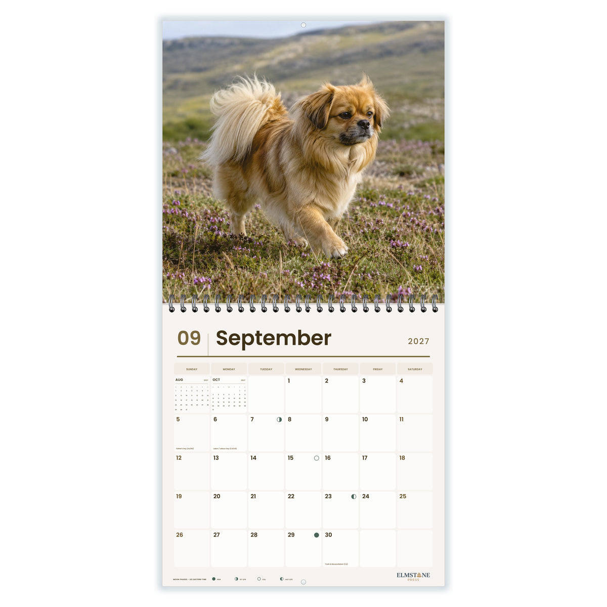 Tibetan_Spaniels_-_649310202928_-_04-september-open-white.jpg