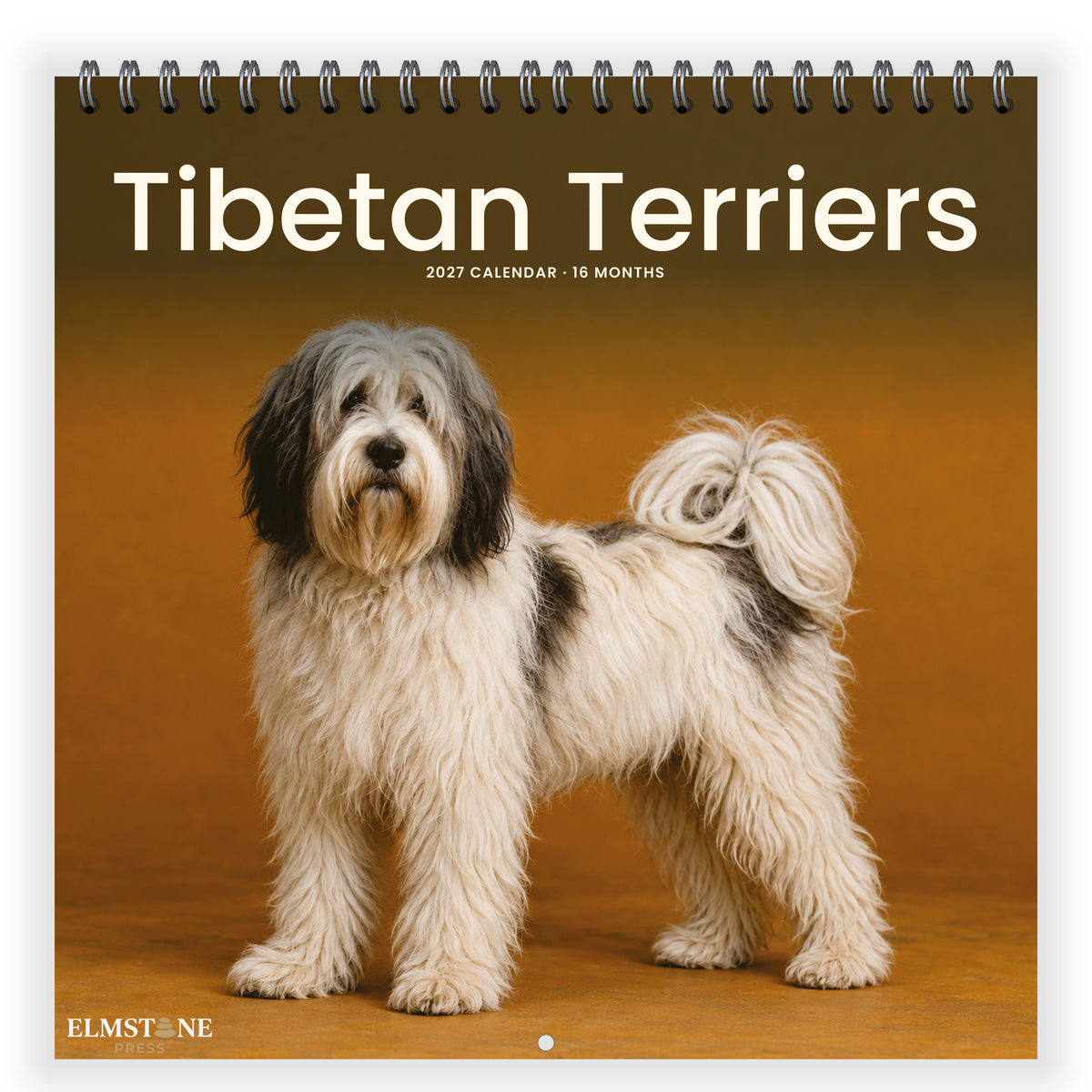Tibetan_Terriers_-_649310203482_-_01-front-cover-white.jpg