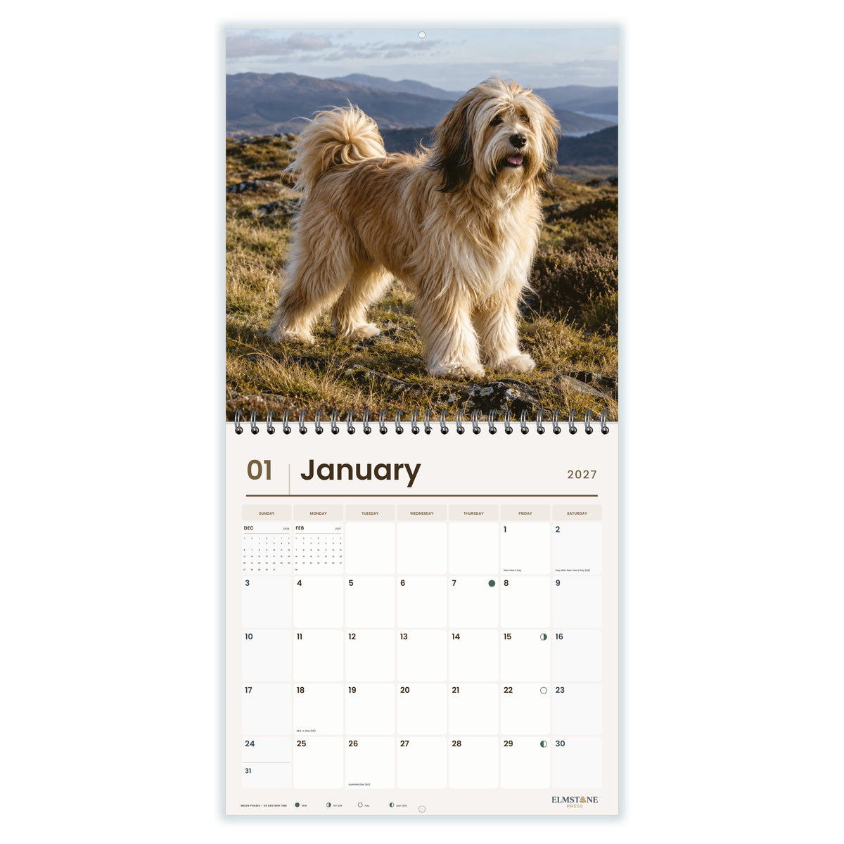 Tibetan_Terriers_-_649310203482_-_02-january-open-white.jpg