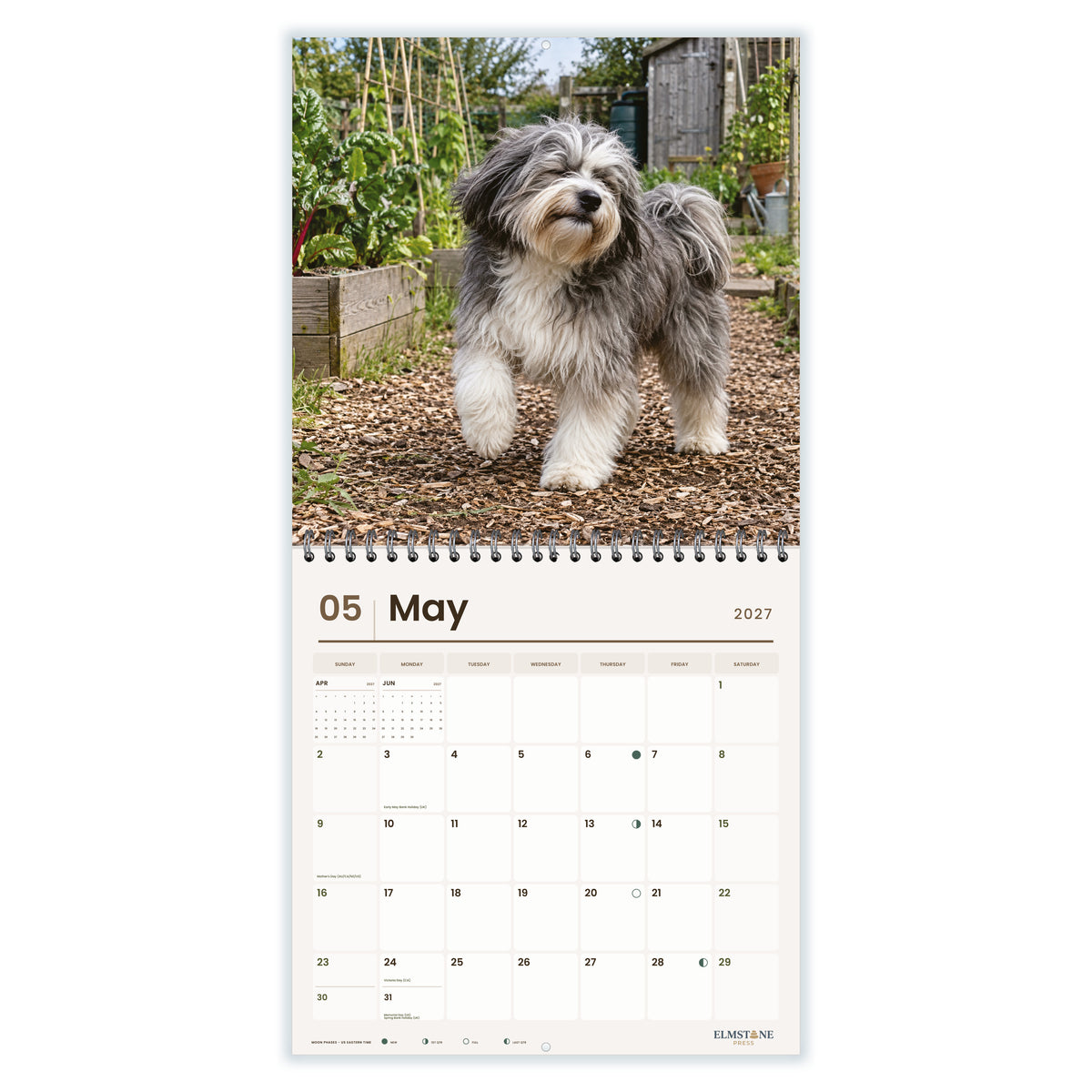 Tibetan_Terriers_-_649310203482_-_03-may-open-white.jpg