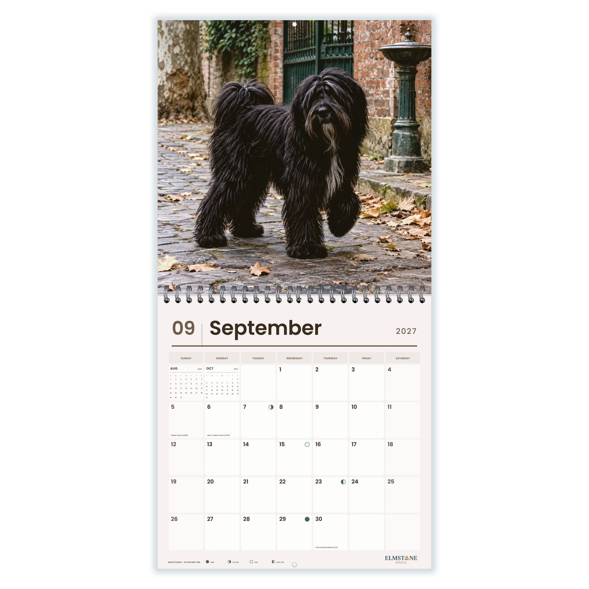 Tibetan_Terriers_-_649310203482_-_04-september-open-white.jpg