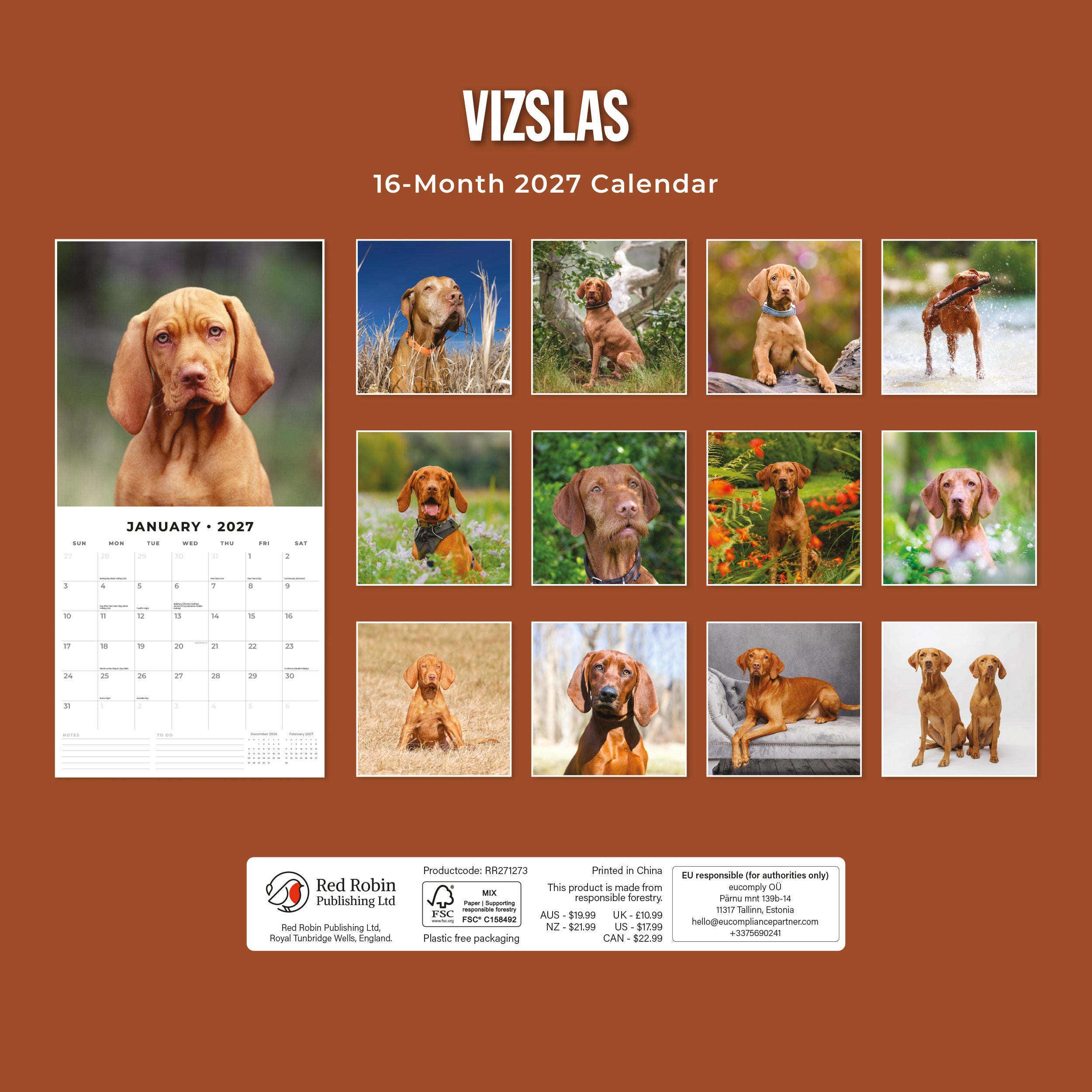 2027 Vizslas - Square Wall Calendar