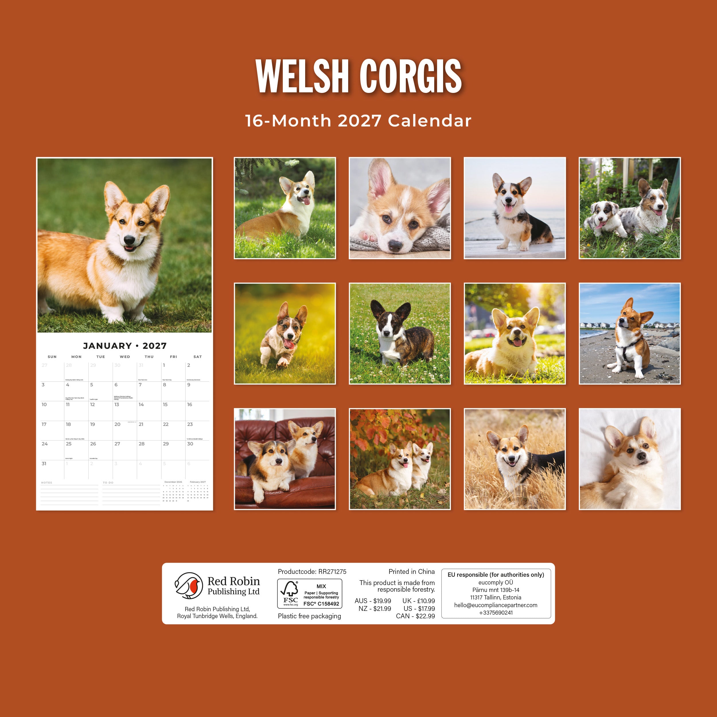 2027 Welsh Corgis - Square Wall Calendar