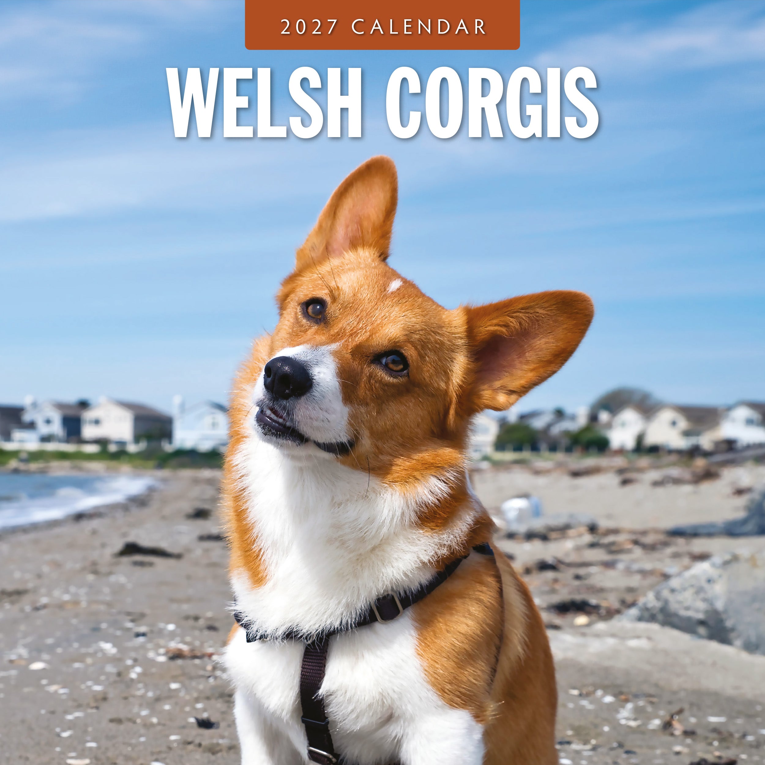 2027 Welsh Corgis - Square Wall Calendar