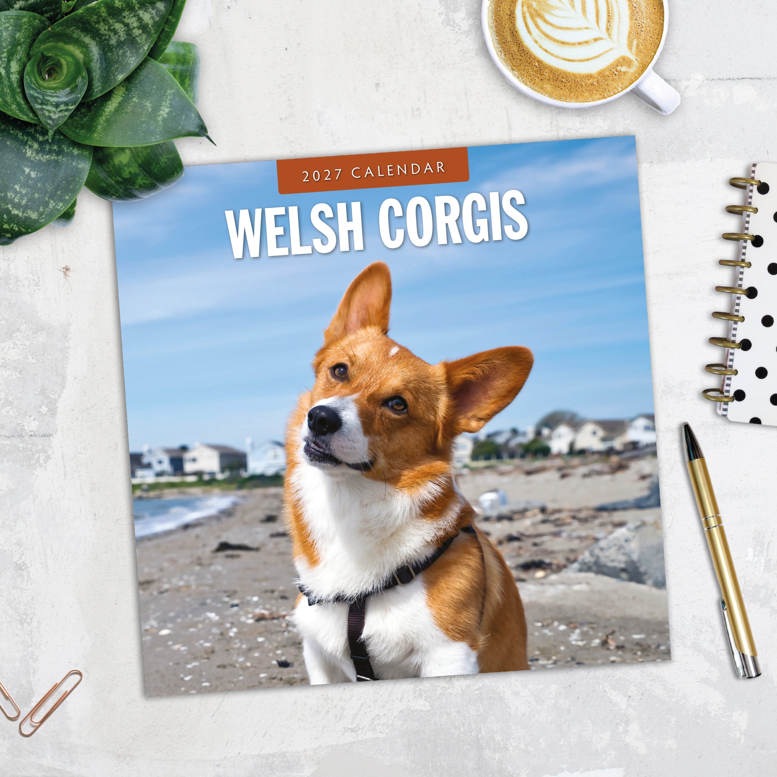 2027 Welsh Corgis - Square Wall Calendar