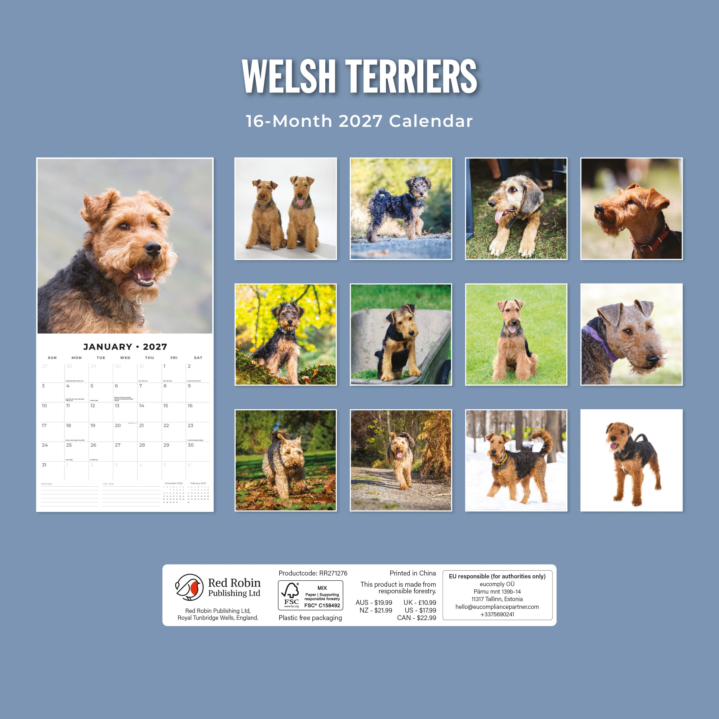 2027 Welsh Terriers - Square Wall Calendar
