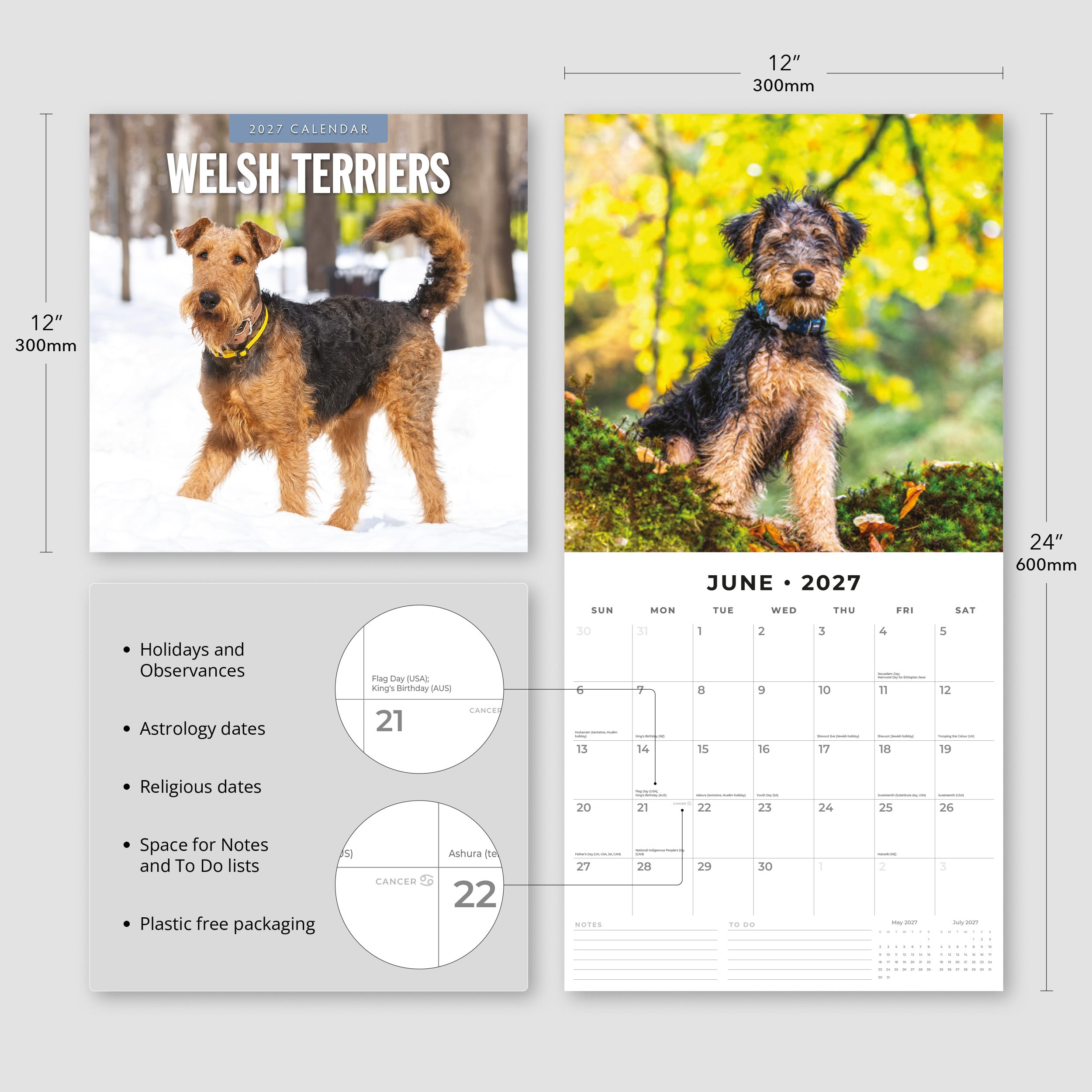 2027 Welsh Terriers - Square Wall Calendar