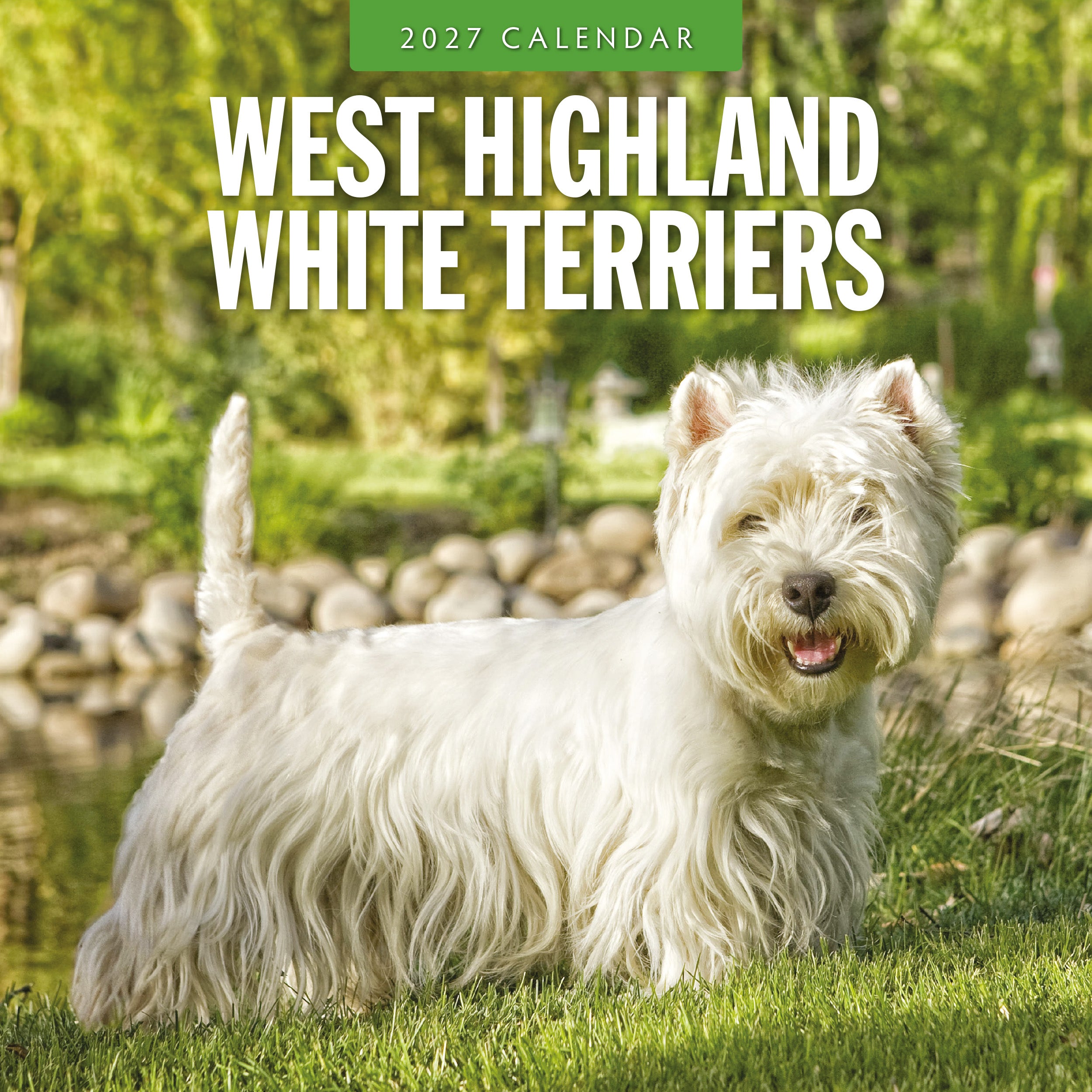 2027 West Highland White Terriers - Square Wall Calendar