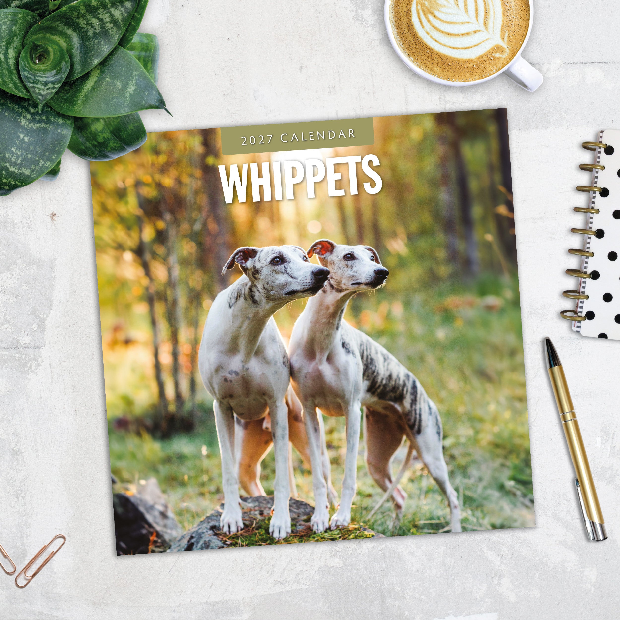 2027 Whippets - Square Wall Calendar