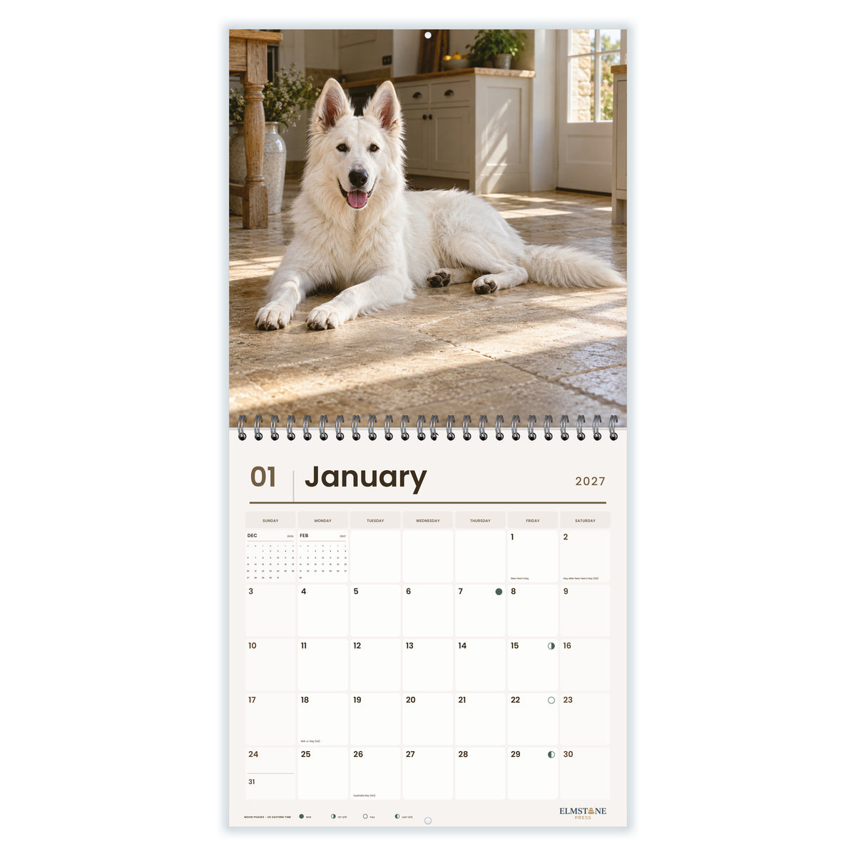 White_Swiss_Shepherds_-_649310203154_-_02-january-open-white.jpg