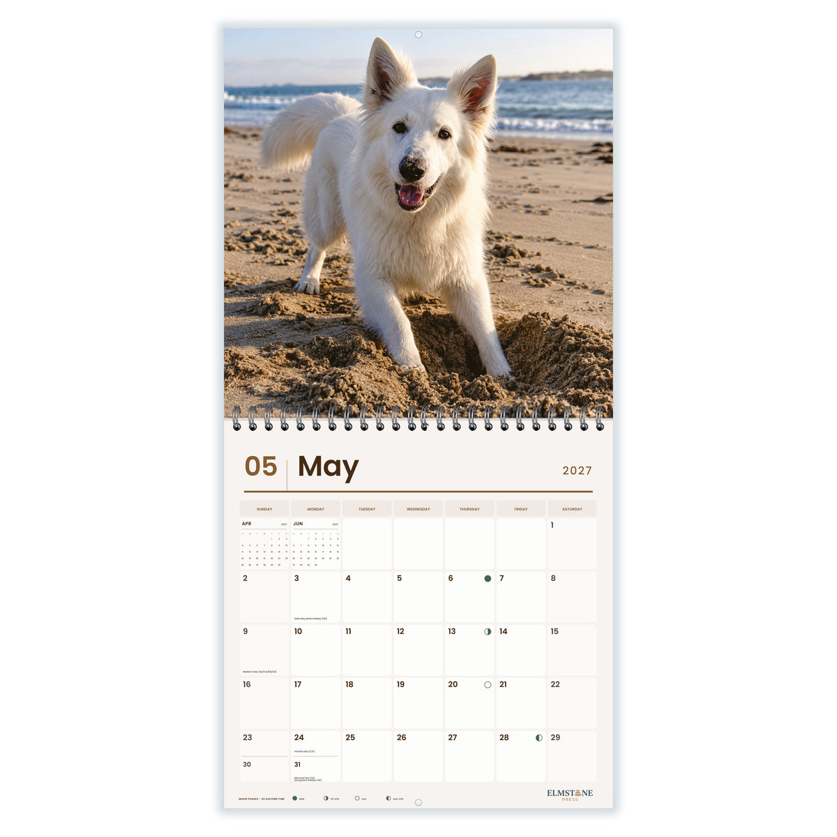 White_Swiss_Shepherds_-_649310203154_-_03-may-open-white.jpg