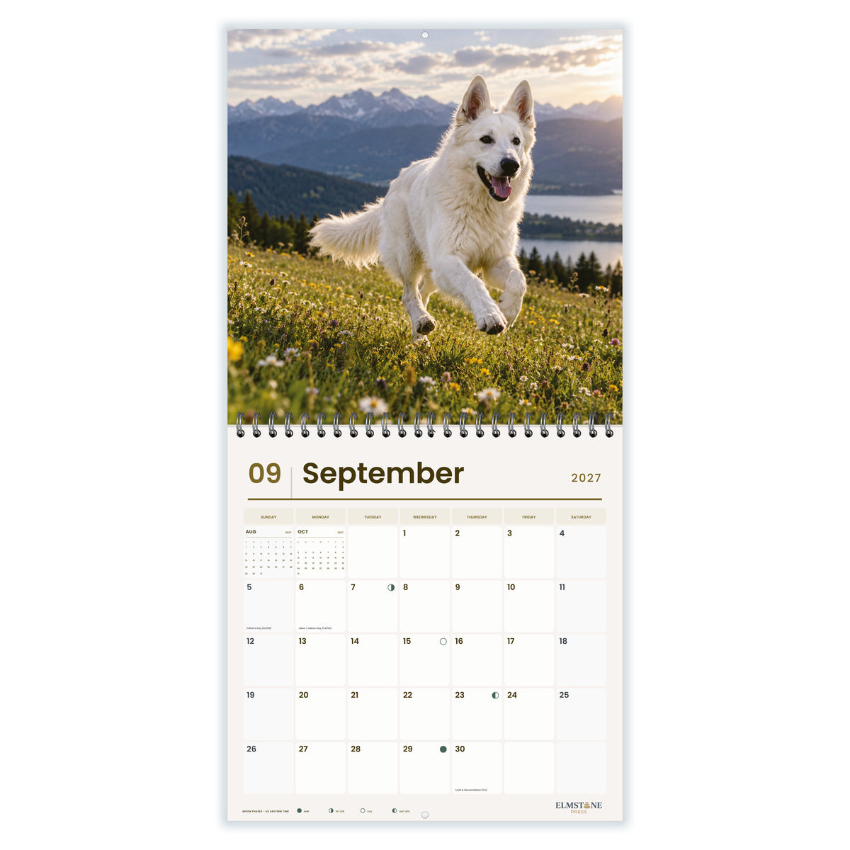 White_Swiss_Shepherds_-_649310203154_-_04-september-open-white.jpg