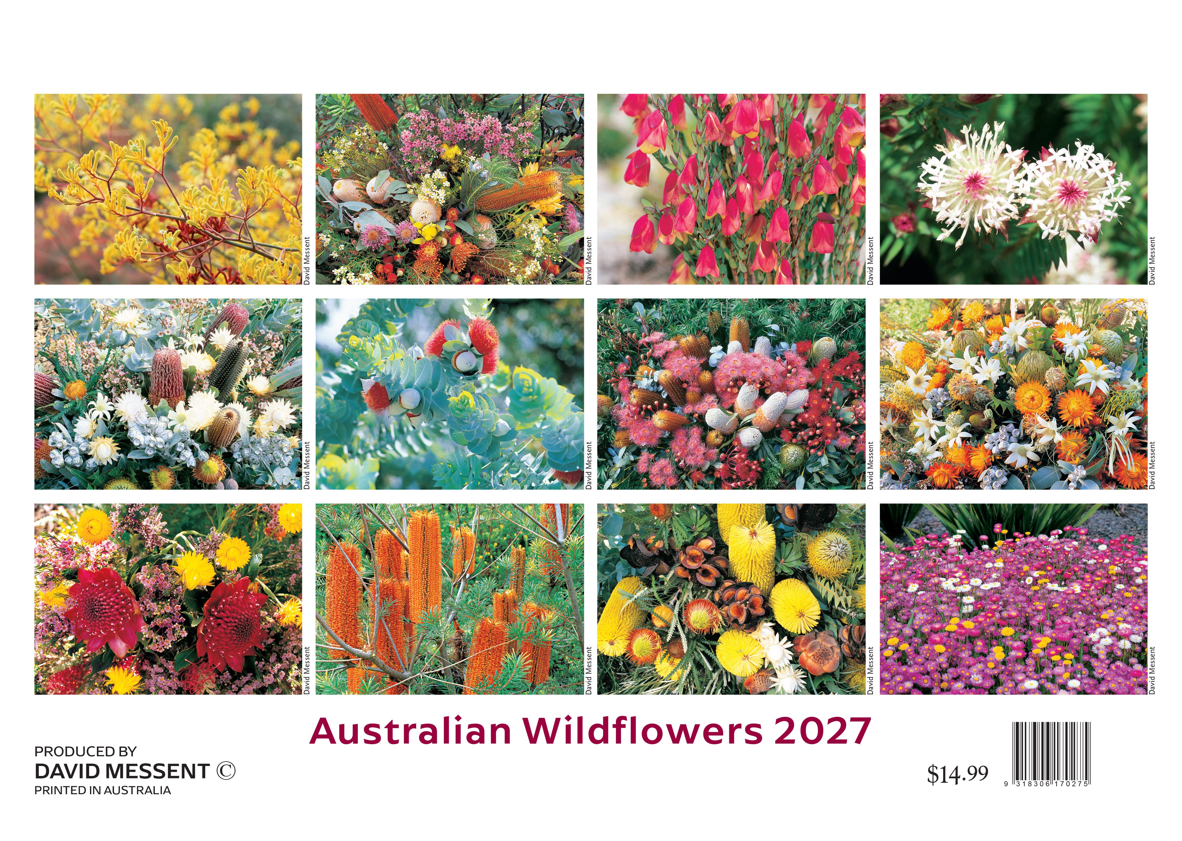 Wildflowers_Back_9318306170275.jpg