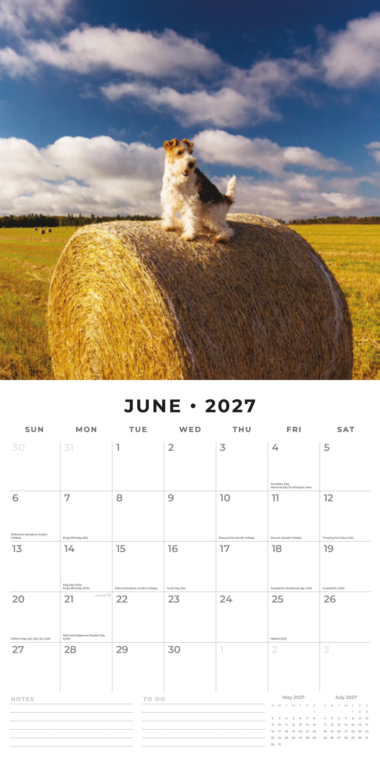 2027 Wire Fox Terriers - Square Wall Calendar