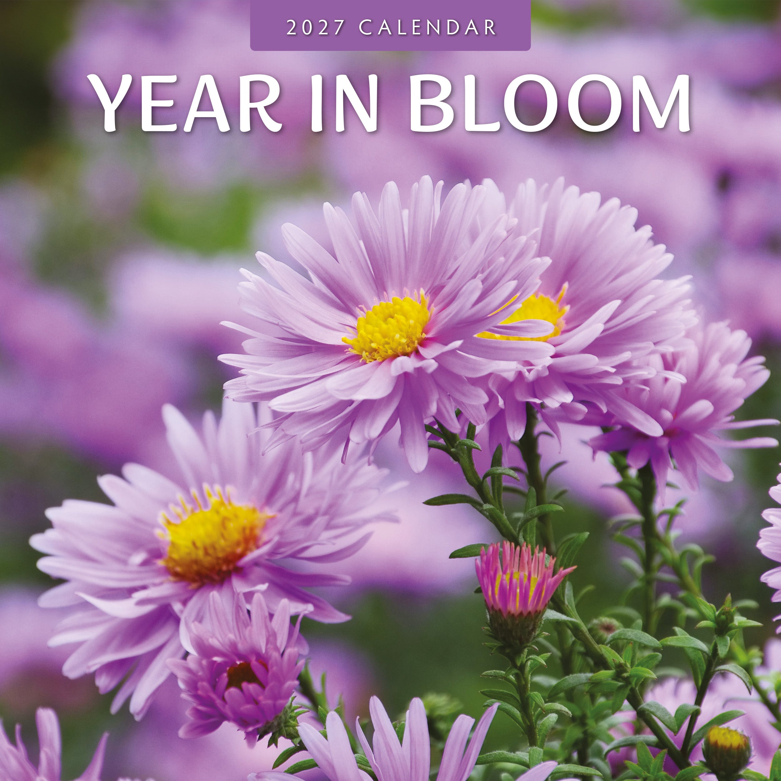 2027 Year in Bloom - Square Wall Calendar