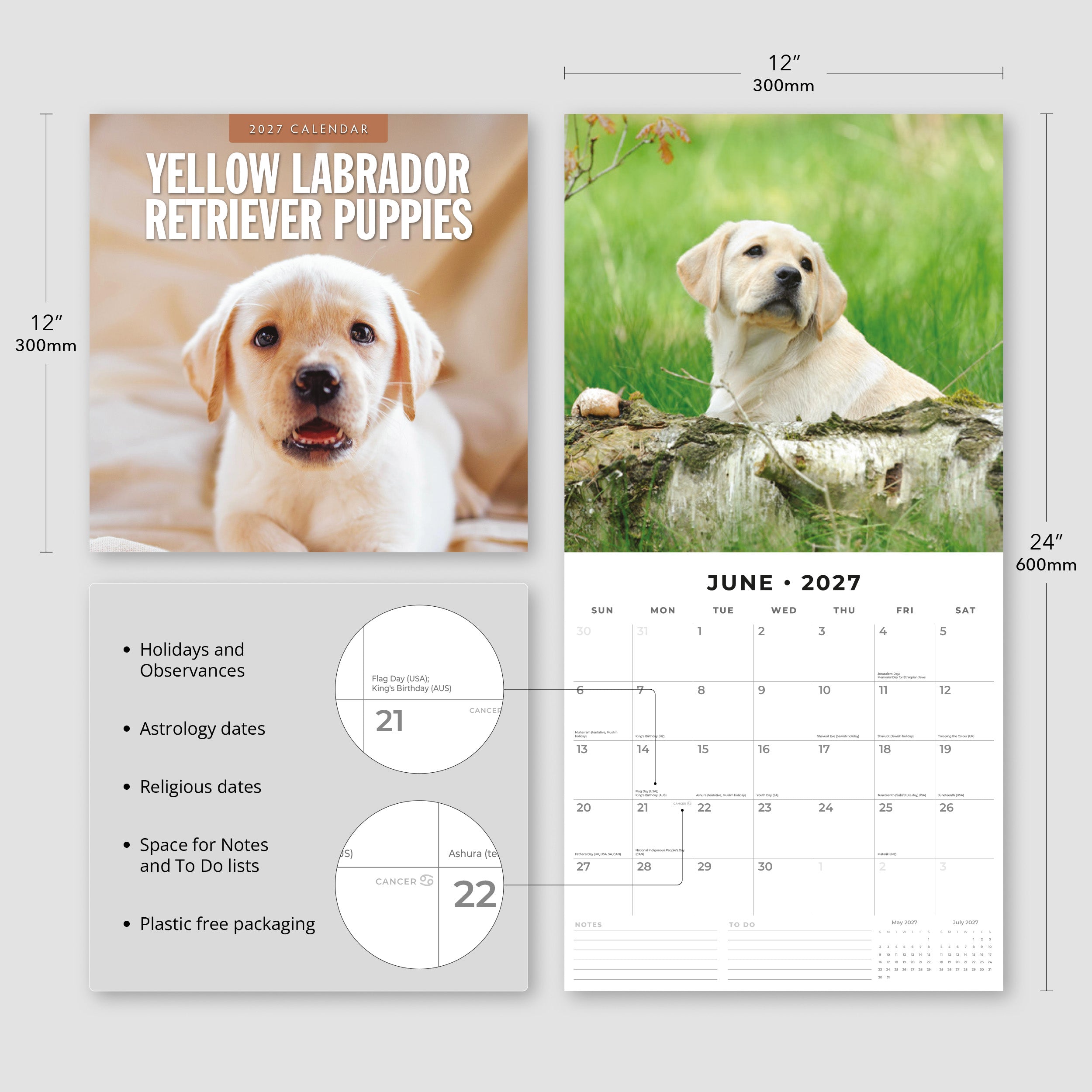 2027 Yellow Labrador Retriever Puppies - Square Wall Calendar