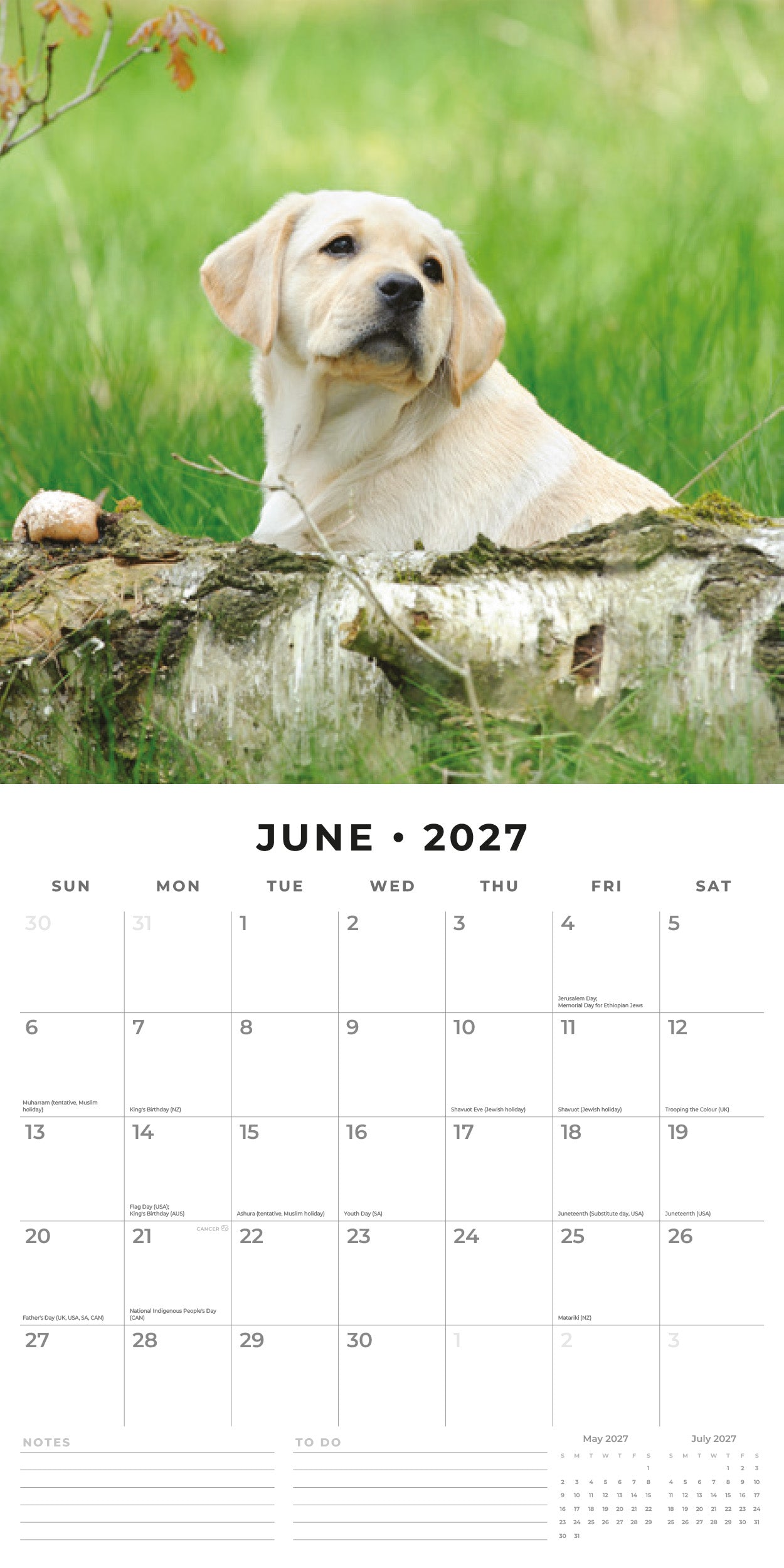 2027 Yellow Labrador Retriever Puppies - Square Wall Calendar