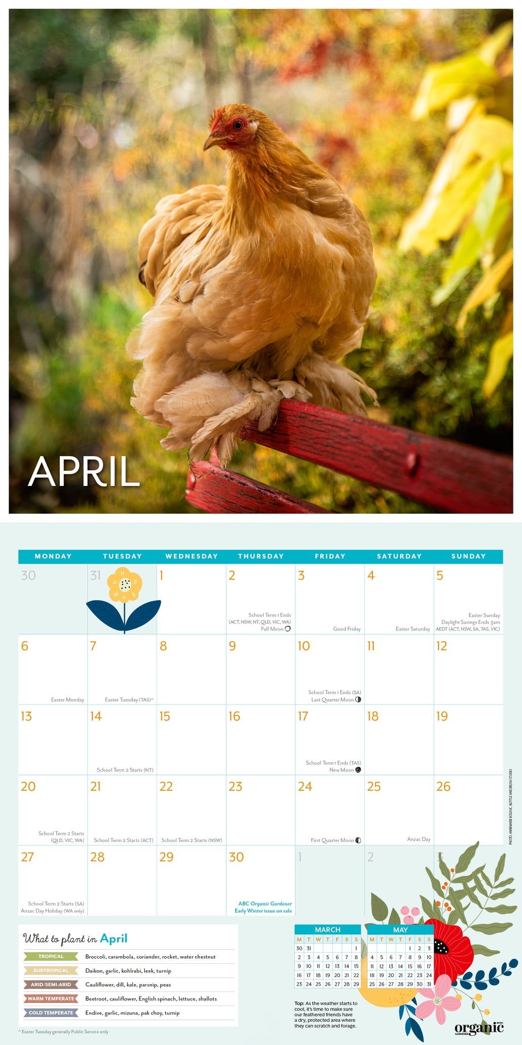 2026 ABC Organic Gardener - Square Wall Calendar