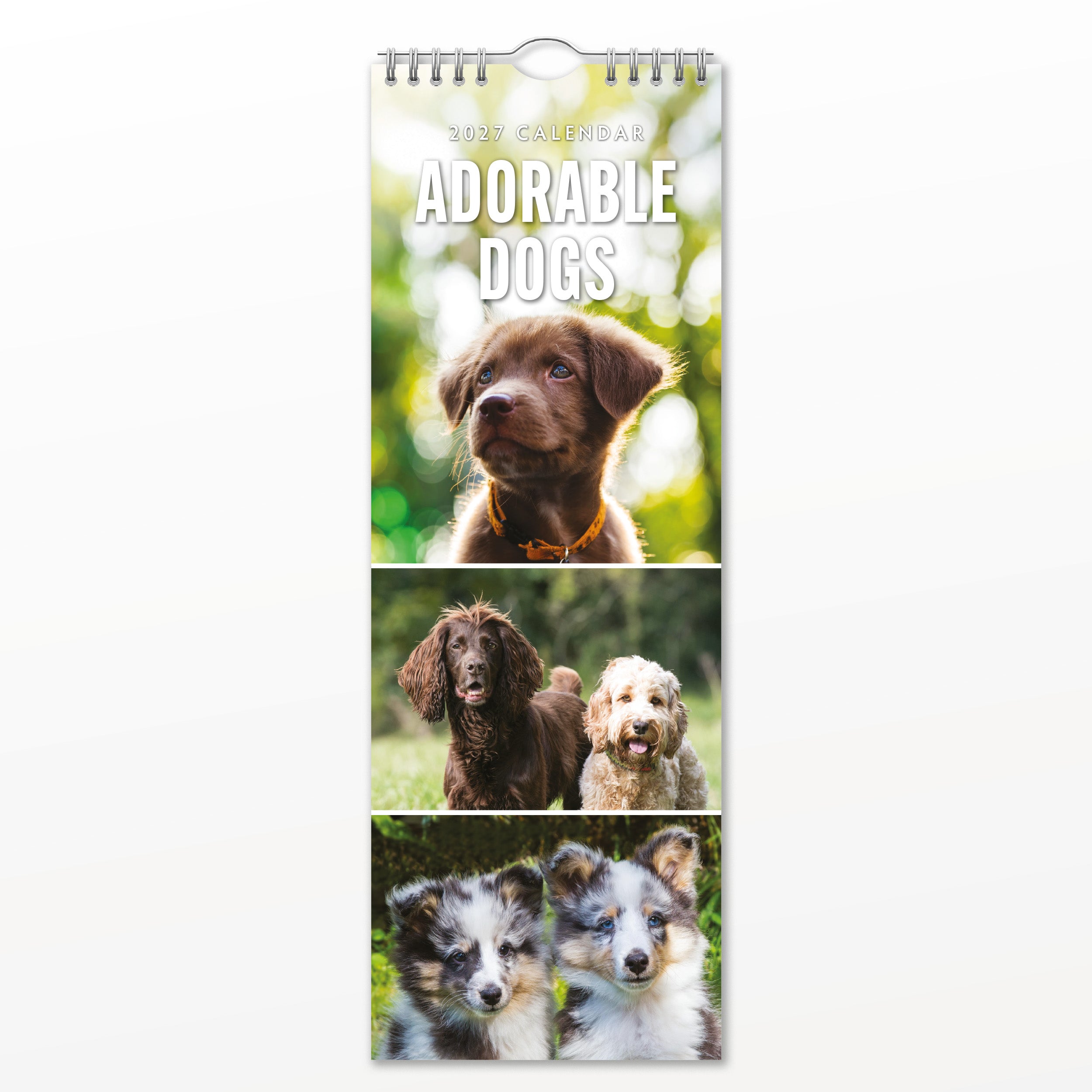 2027 Adorable Dogs - Slim Wall Calendar
