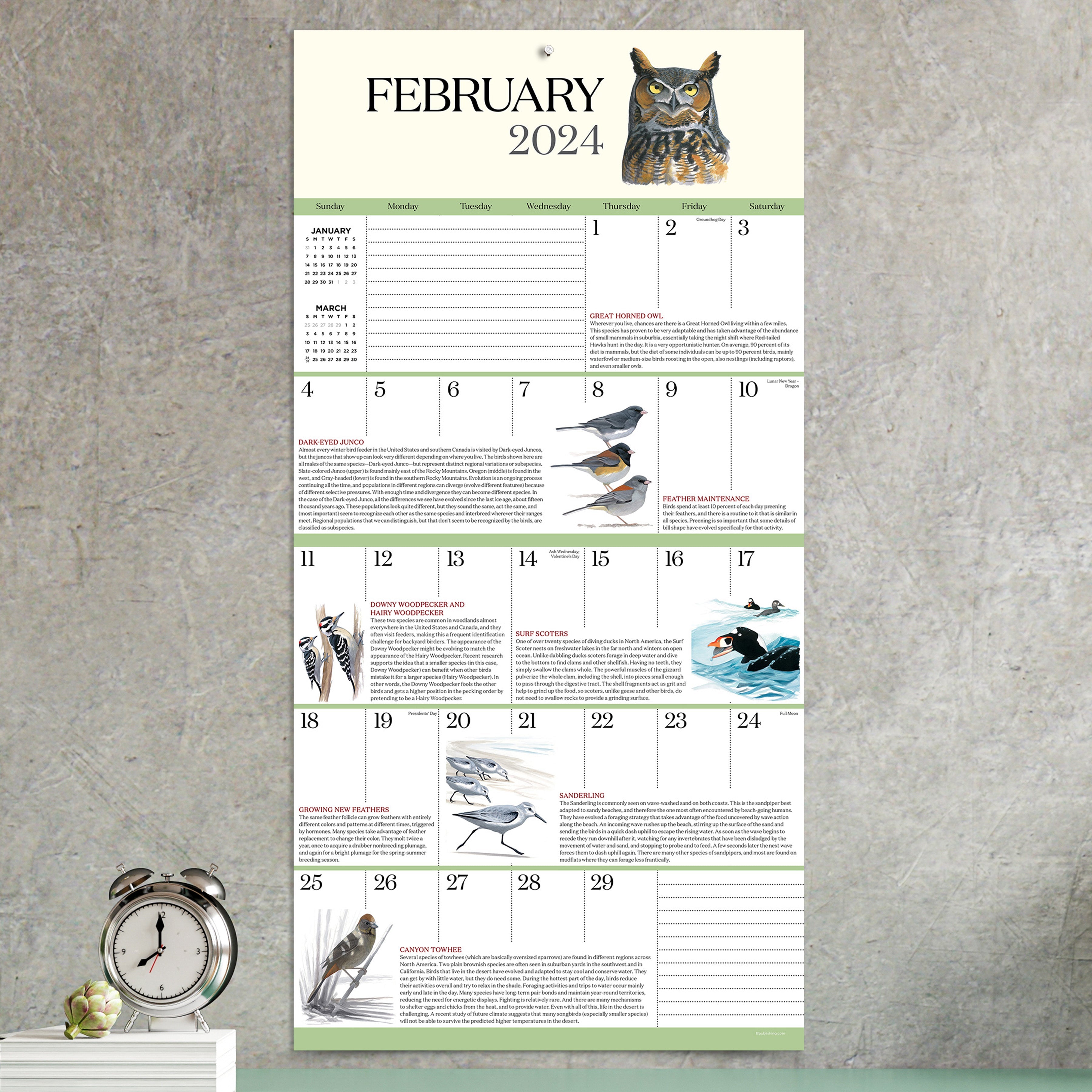 2024 What It's Like To Be A Bird - Square Wall Calendar