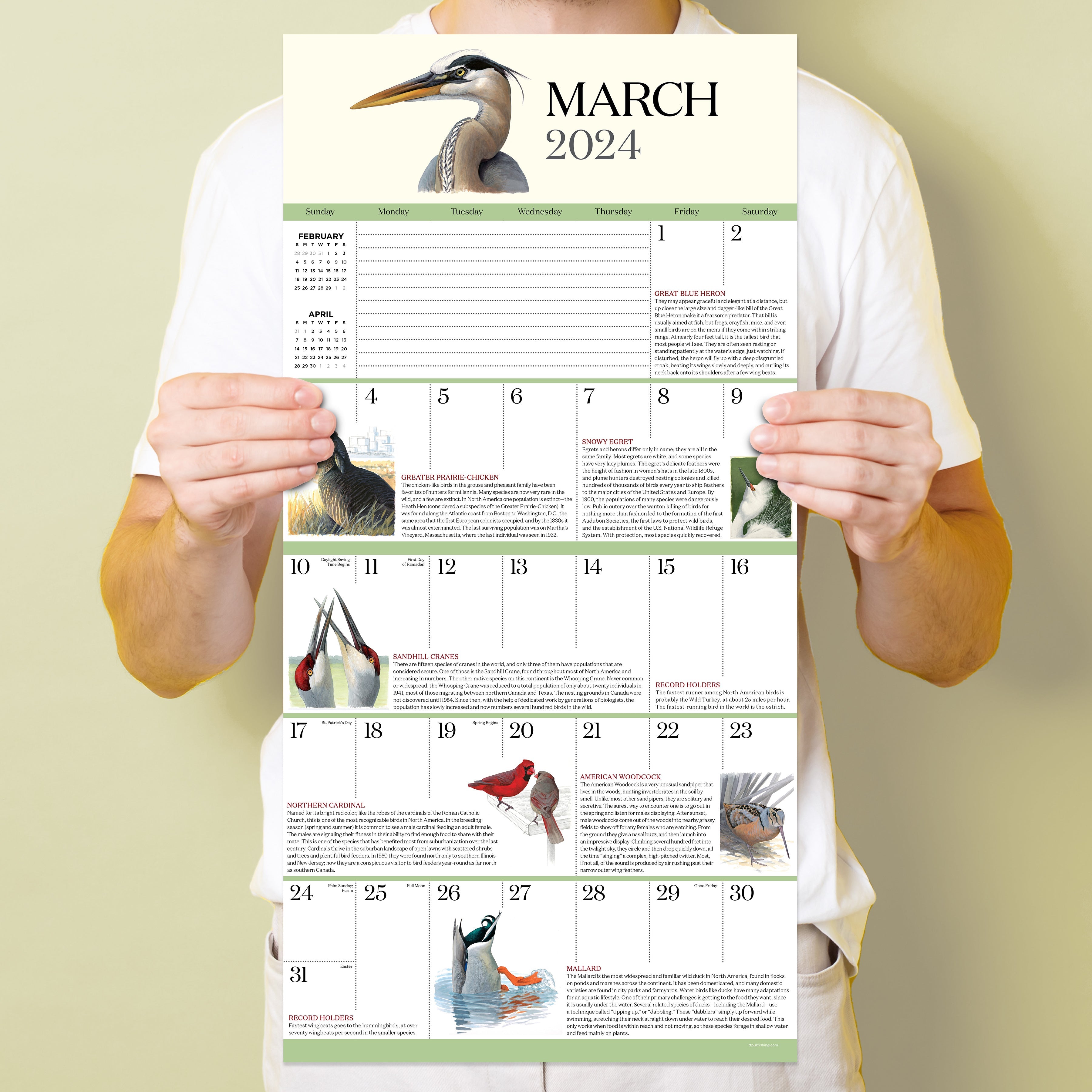 2024 What It's Like To Be A Bird - Square Wall Calendar