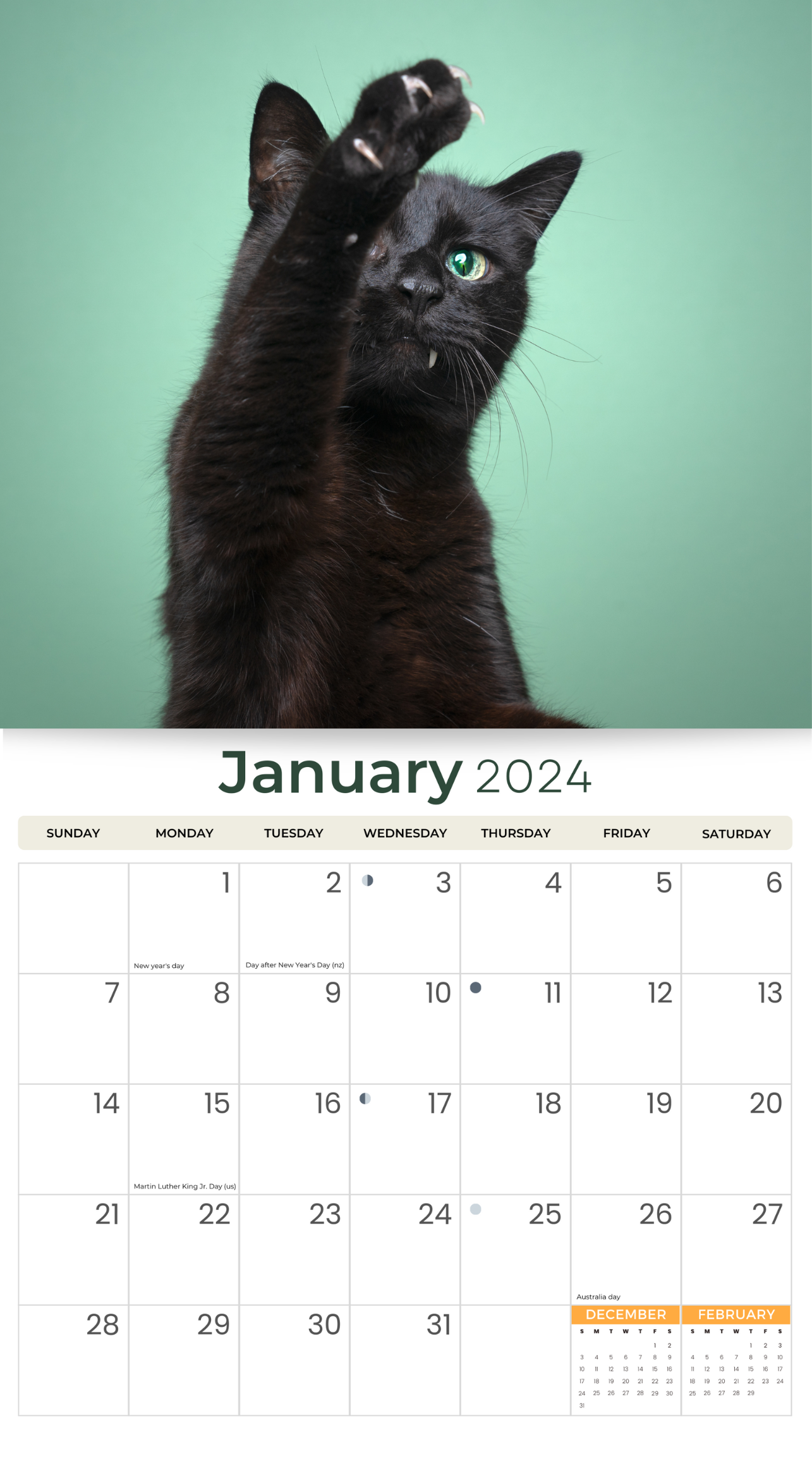 2024 Black Cats Deluxe Wall Calendar Cats & Kittens Calendars By