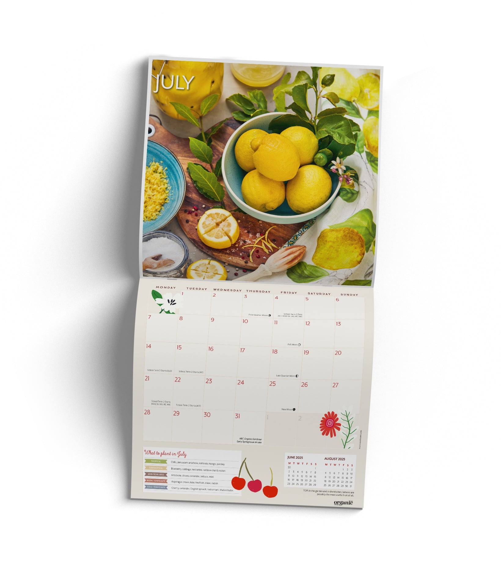 2025 ABC Organic Gardener - Square Wall Calendar