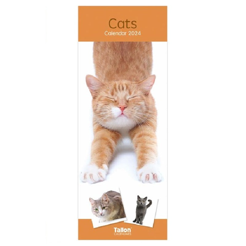 2024 Cats Super Slim Wall Calendar   0282054919bc61be1a6972ee35b620bb 