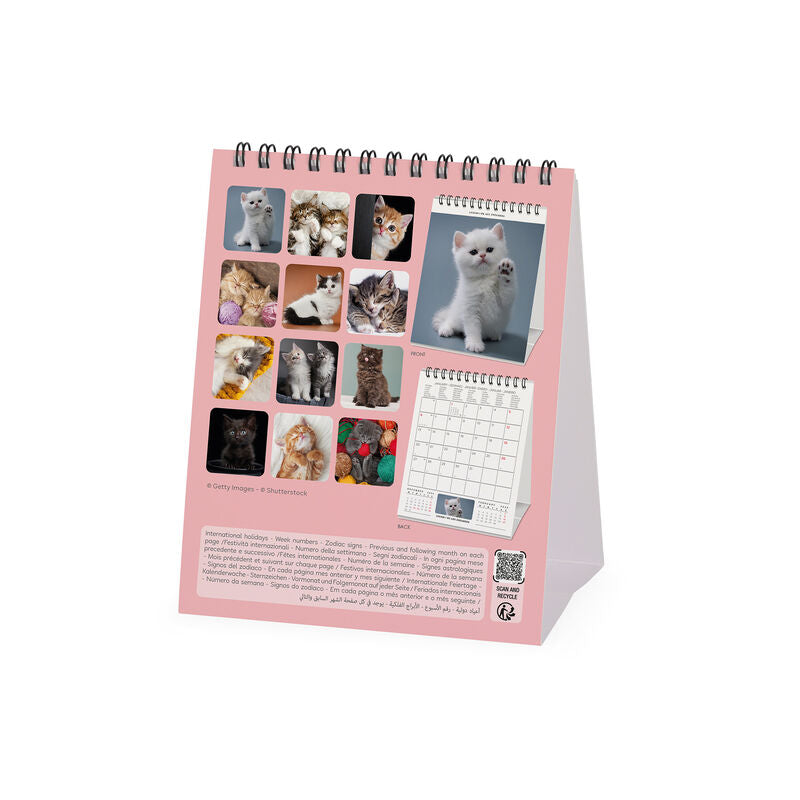 2025 Kittens by Legami - Desk Easel Calendar