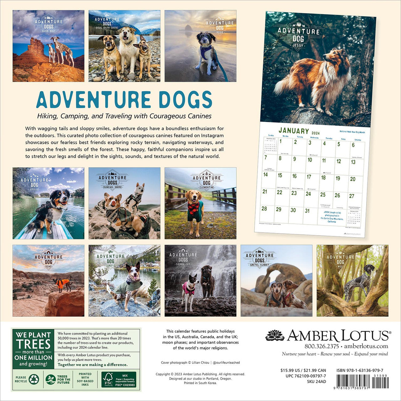 2024 Adventure Dogs Square Wall Calendar   0357e44bdf6c00d123a8952c6954326a 