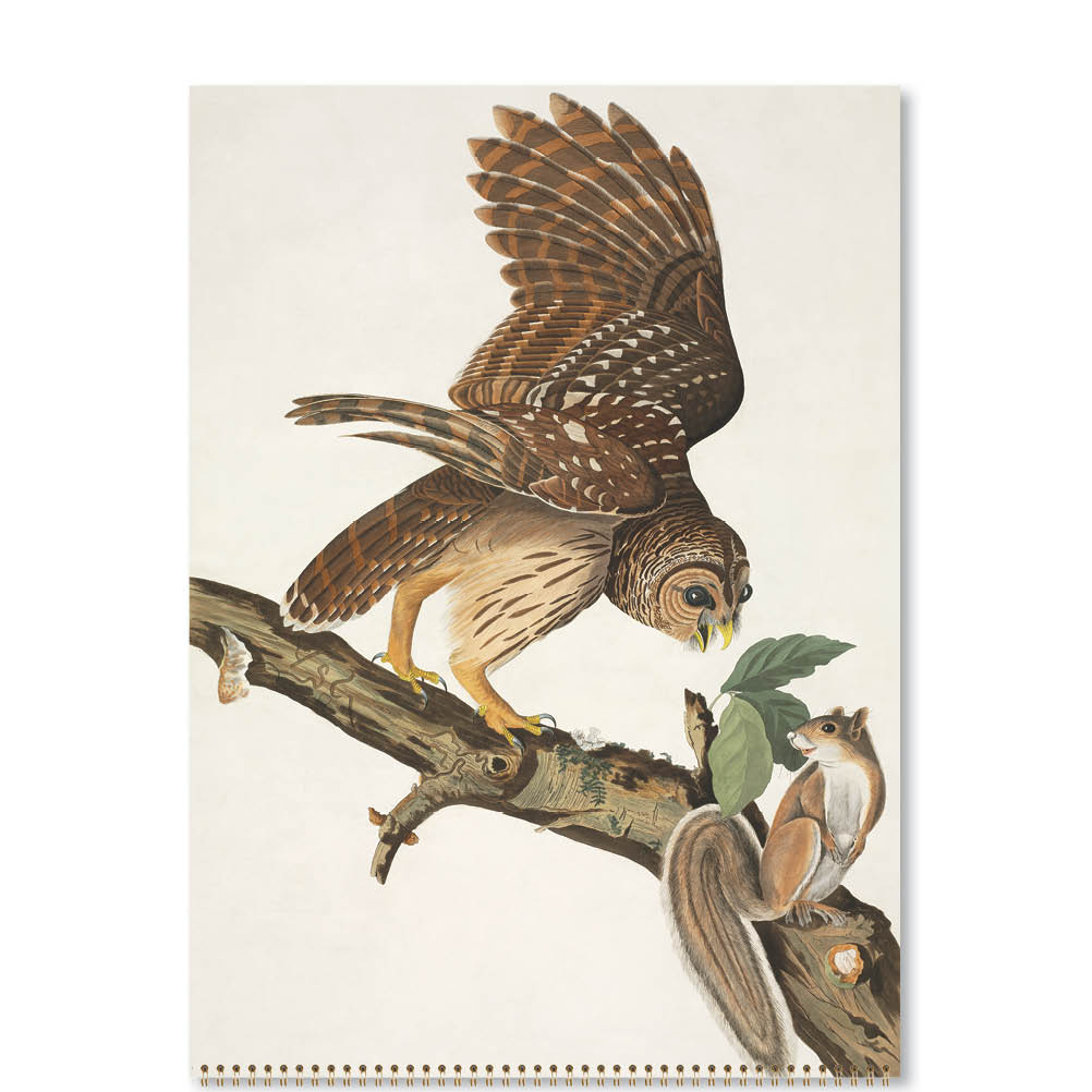 2024 Artful Owls - Deluxe Wall Calendar