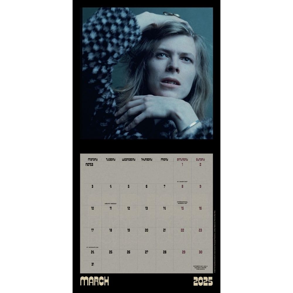 2025 David Bowie Collector's Edition Record Sleeve - Square Wall Calendar