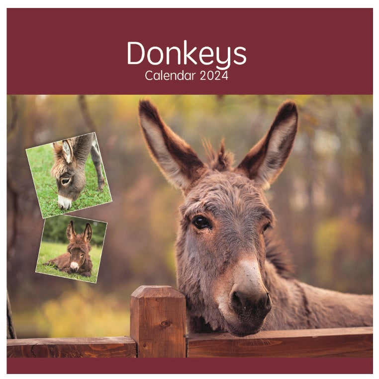 2024 Donkeys Square Wall Calendar   0569 48 FSC 