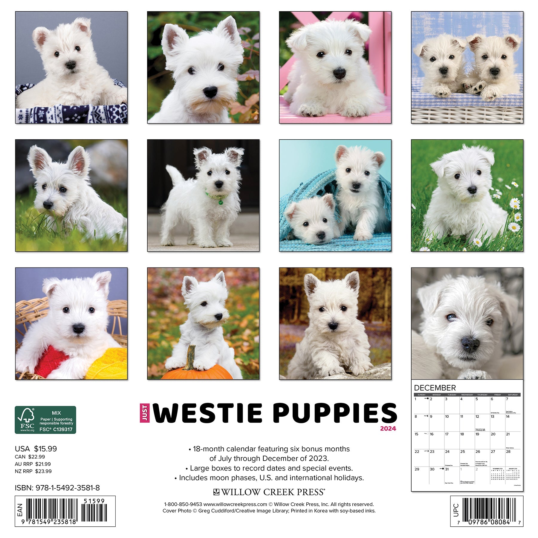 2024 Just Westie Puppies - Square Wall Calendar