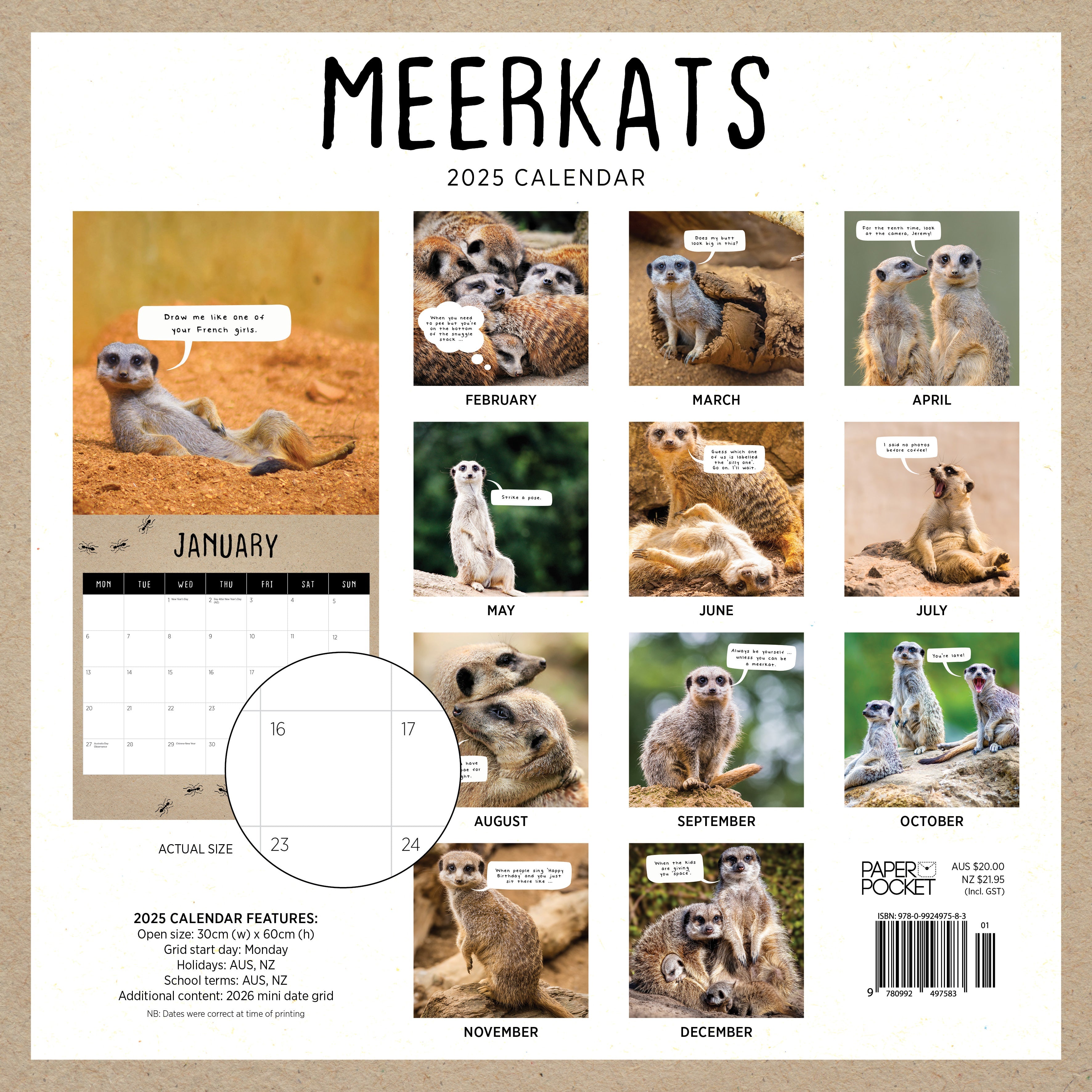 2025 Meerkats - Square Wall Calendar