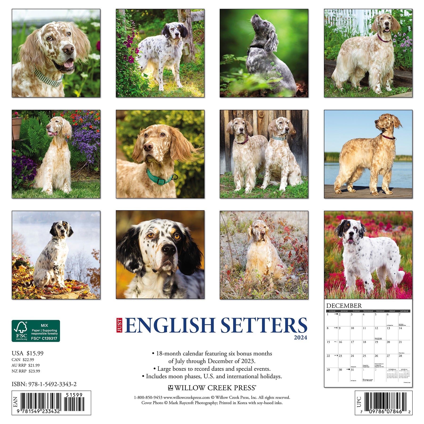 2024 Just English Setters - Square Wall Calendar