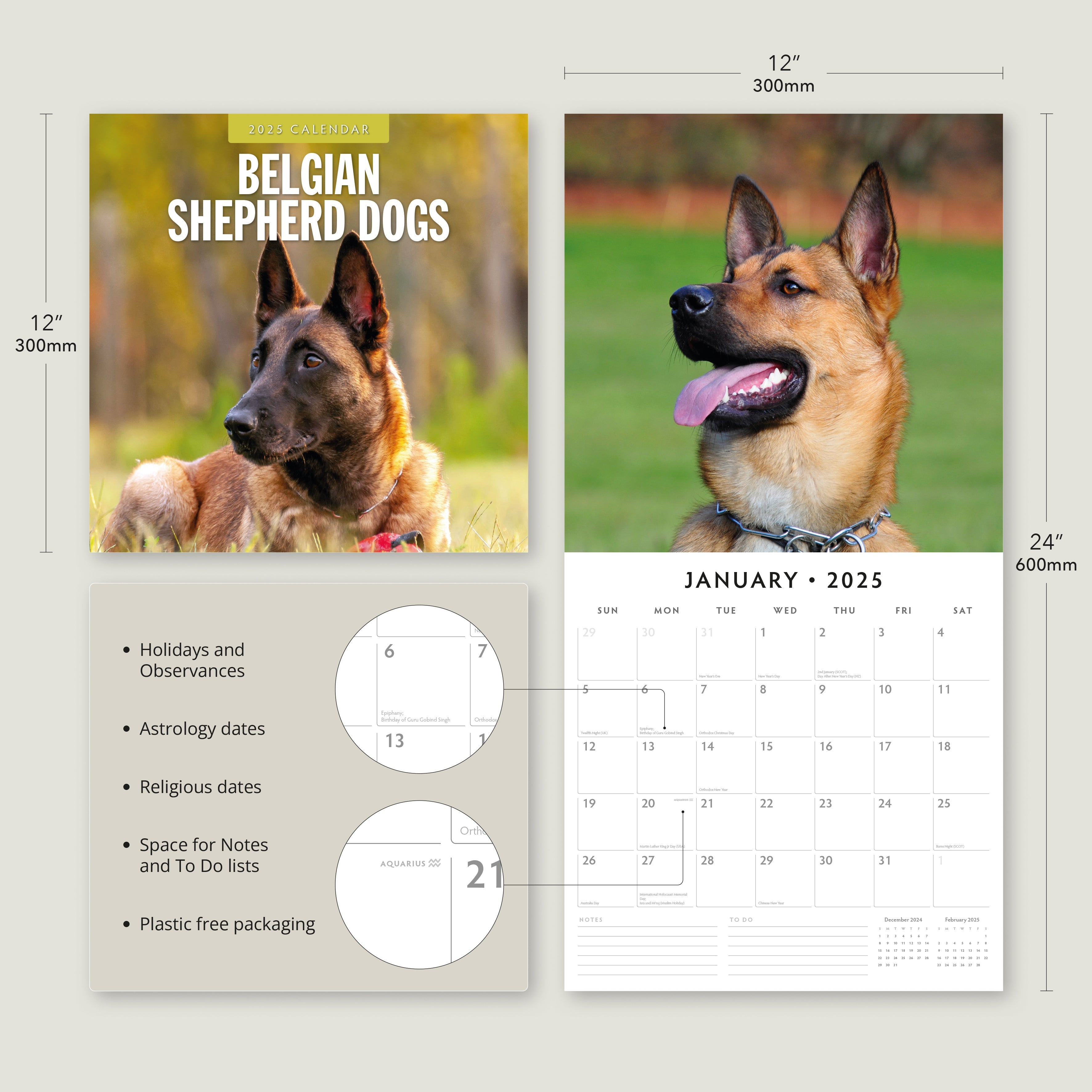 2025 Belgian Shepherd Dogs - Square Wall Calendar