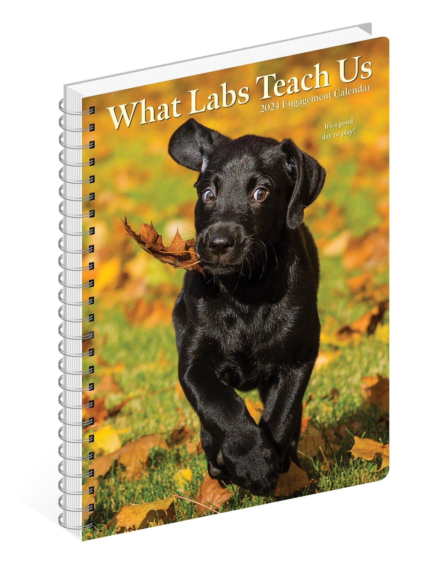 2024 What Labs Teach Us - Weekly Diary/Planner