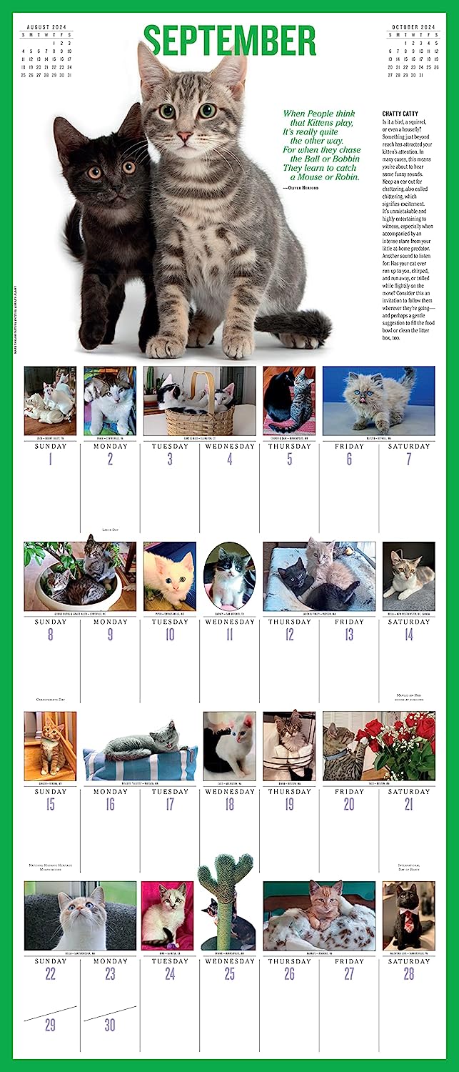 2024 365 KittensAYear Deluxe Wall Calendar