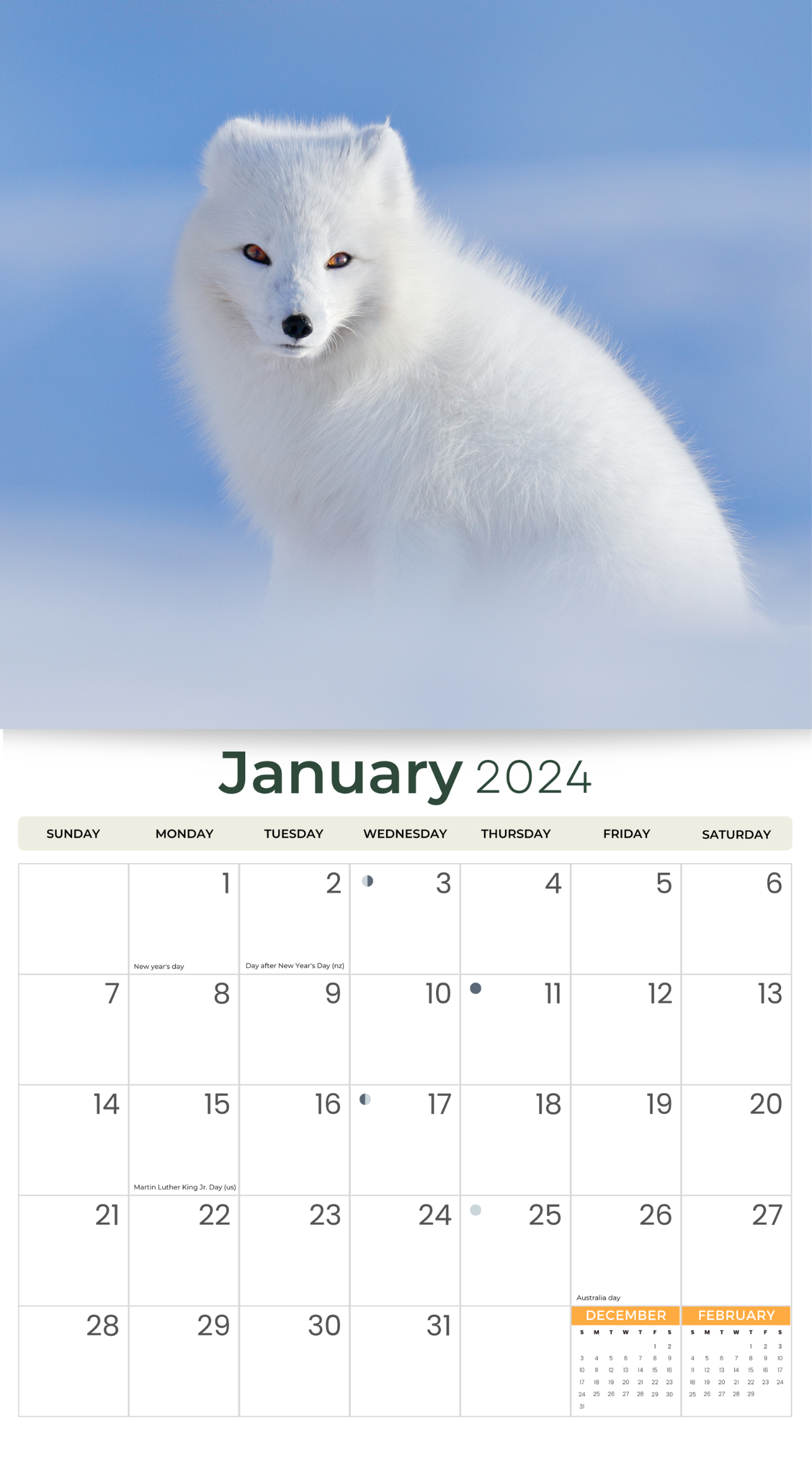 2024 Foxes - Deluxe Wall Calendar by Just Calendars - 16 Month - Plastic Free - Fox in the nature