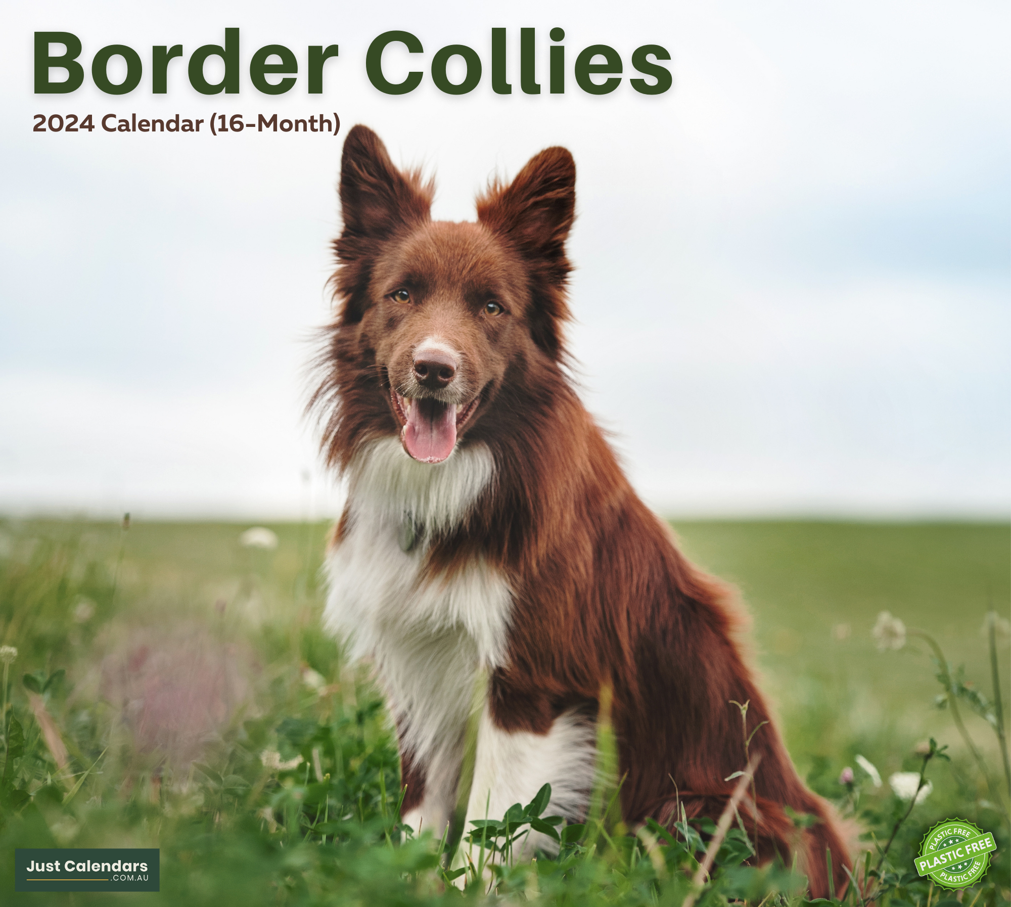 2024 Border Collies Dogs & Puppies - Deluxe Wall Calendar by Just Calendars - 16 Month - Plastic Free