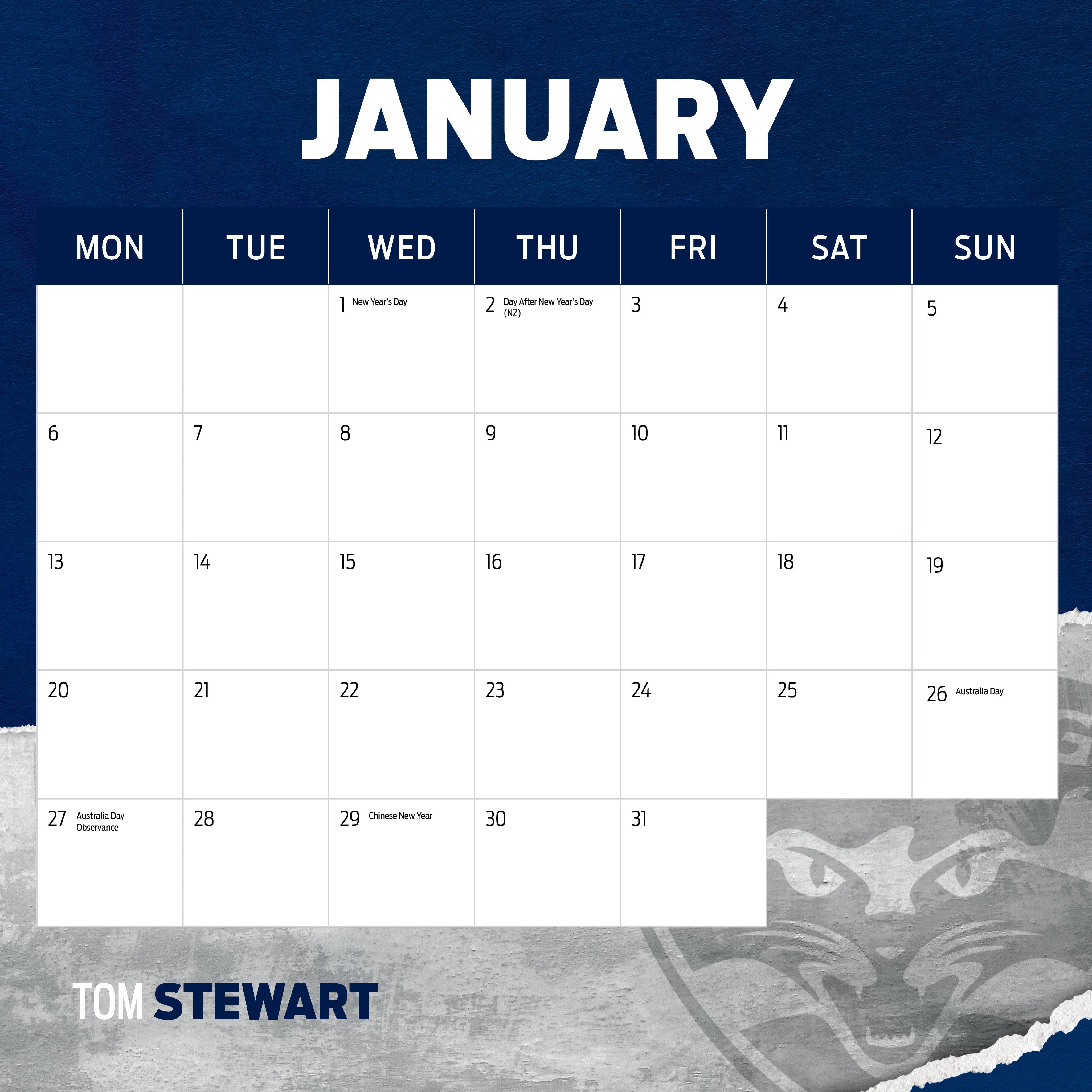 2025 AFL Geelong Cats - Square Wall Calendar