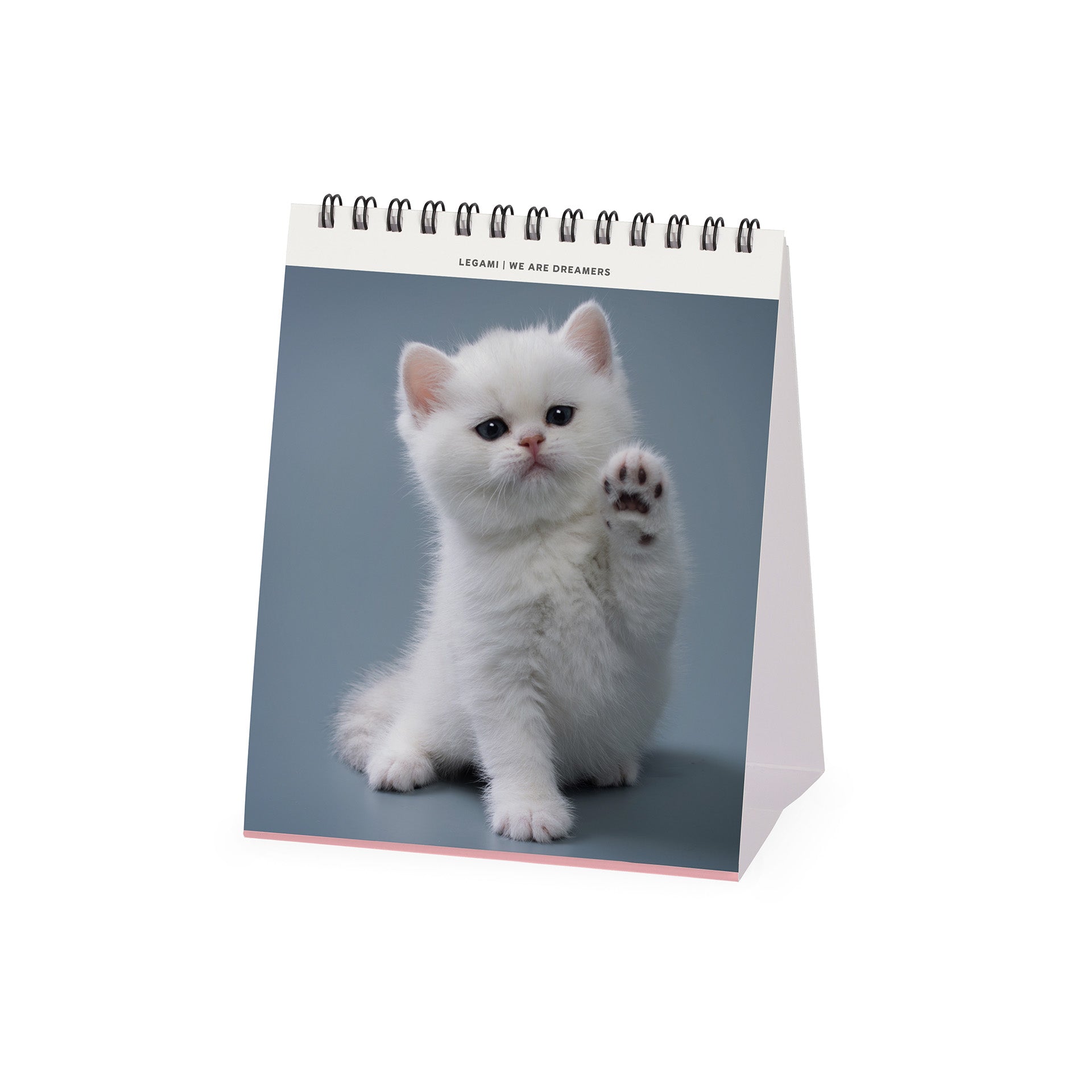 2025 Kittens by Legami - Desk Easel Calendar