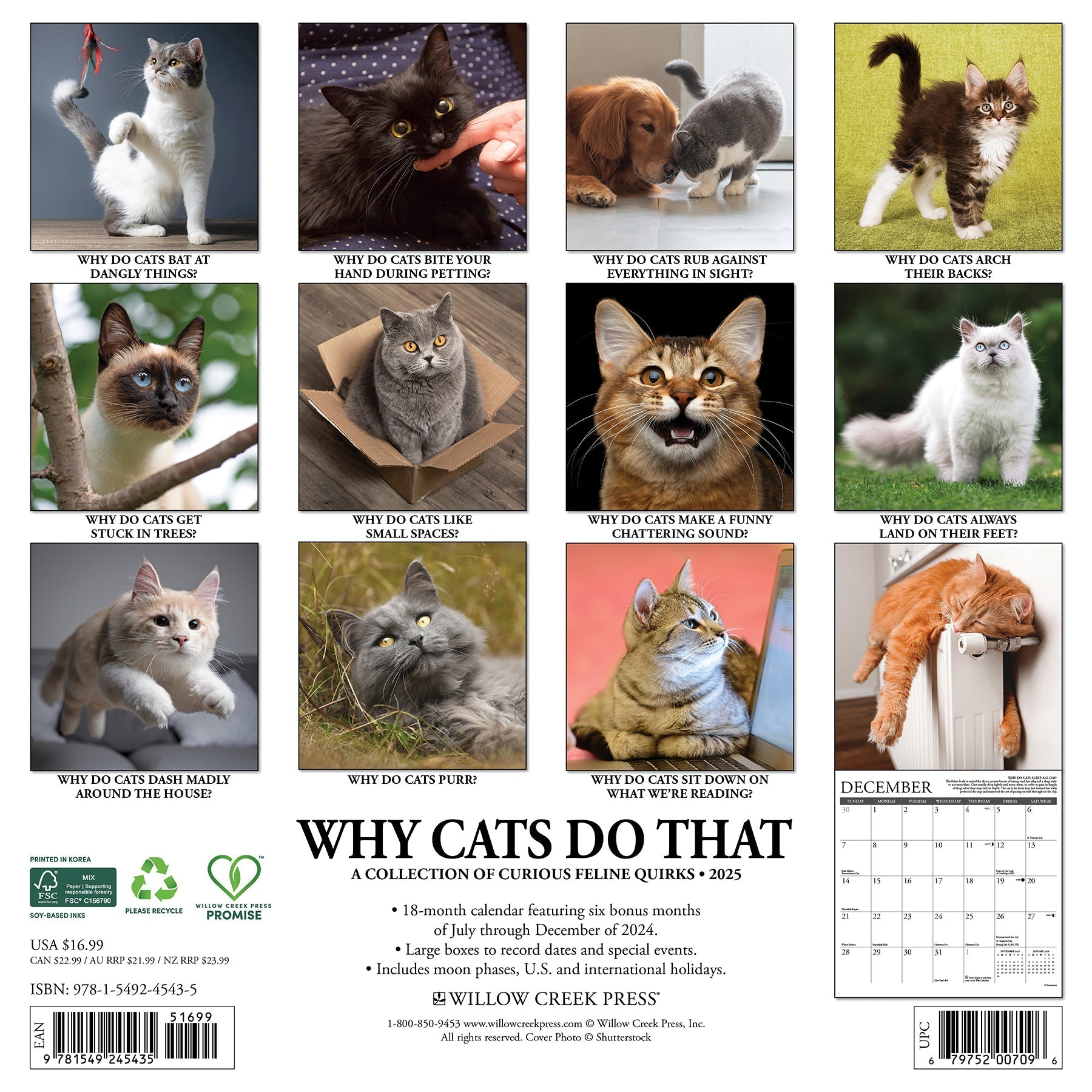 2025 Why Cats Do That - Square Wall Calendar