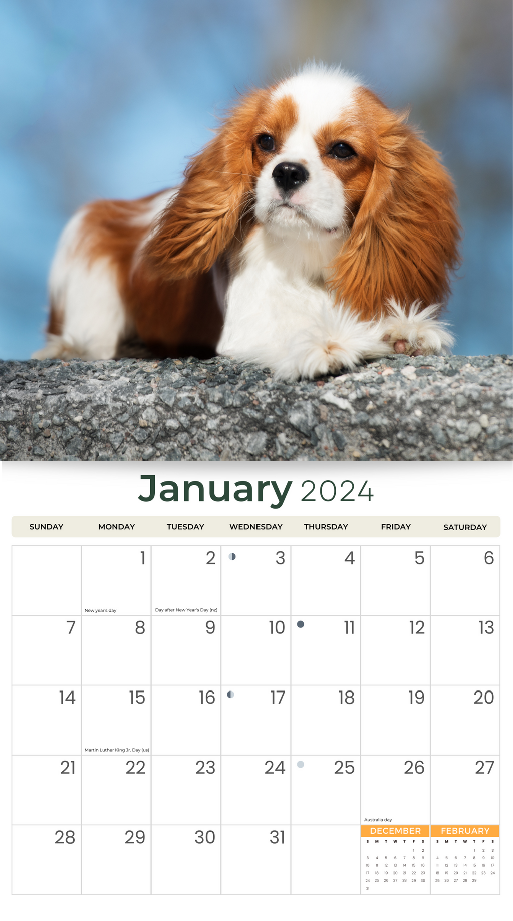 2024 Cavalier King Charles Deluxe Wall Calendar Dogs & Puppies
