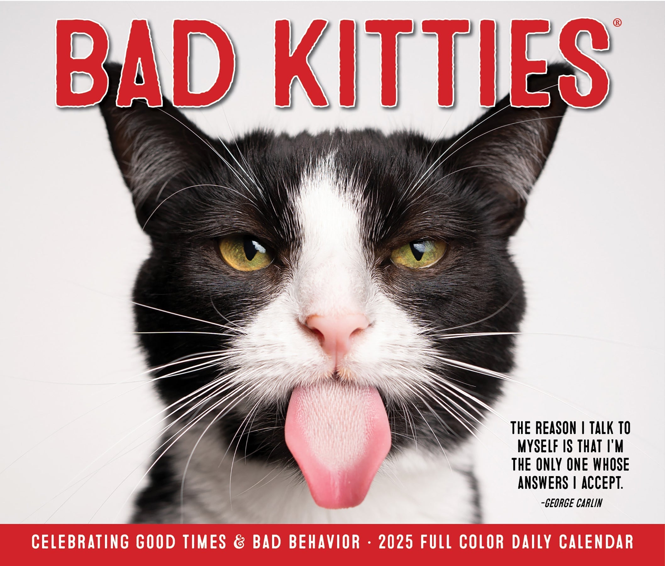 2025 Bad Kitties - Daily Boxed Page-A-Day Calendar